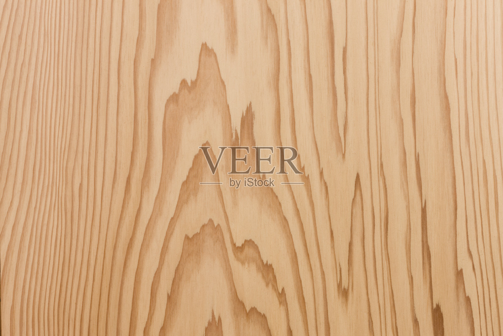 盘雪松照片摄影图片