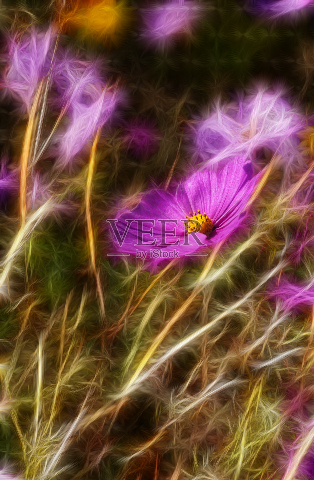 火的花照片摄影图片