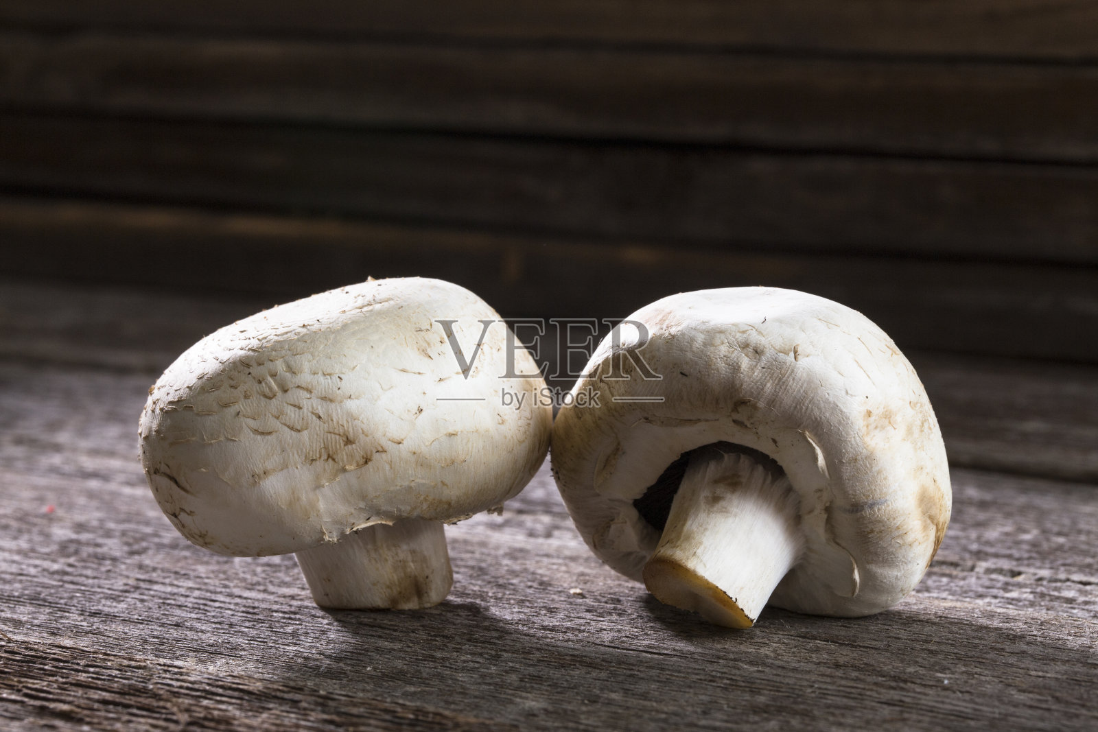 两个蘑菇照片摄影图片