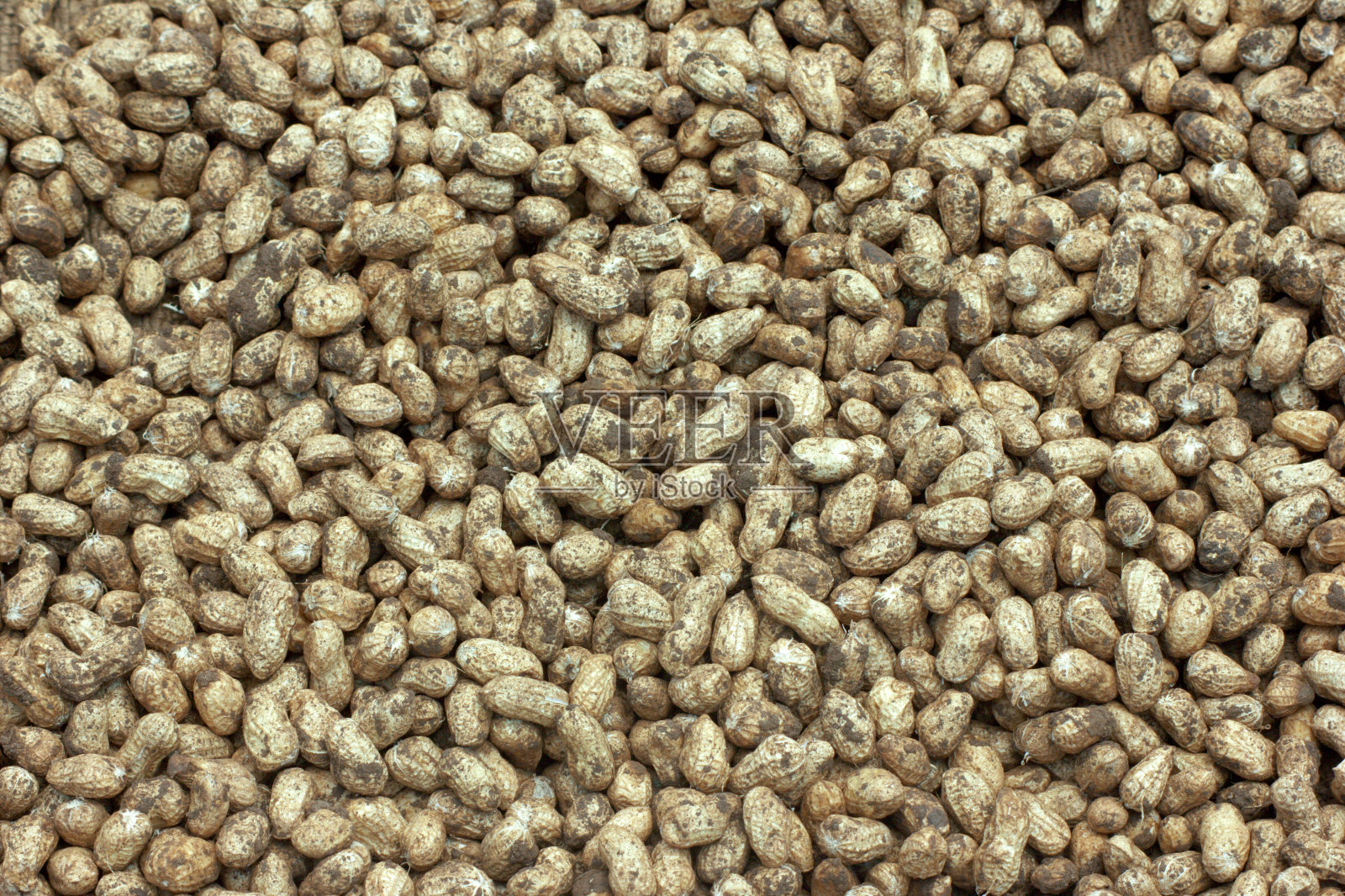 花生照片摄影图片