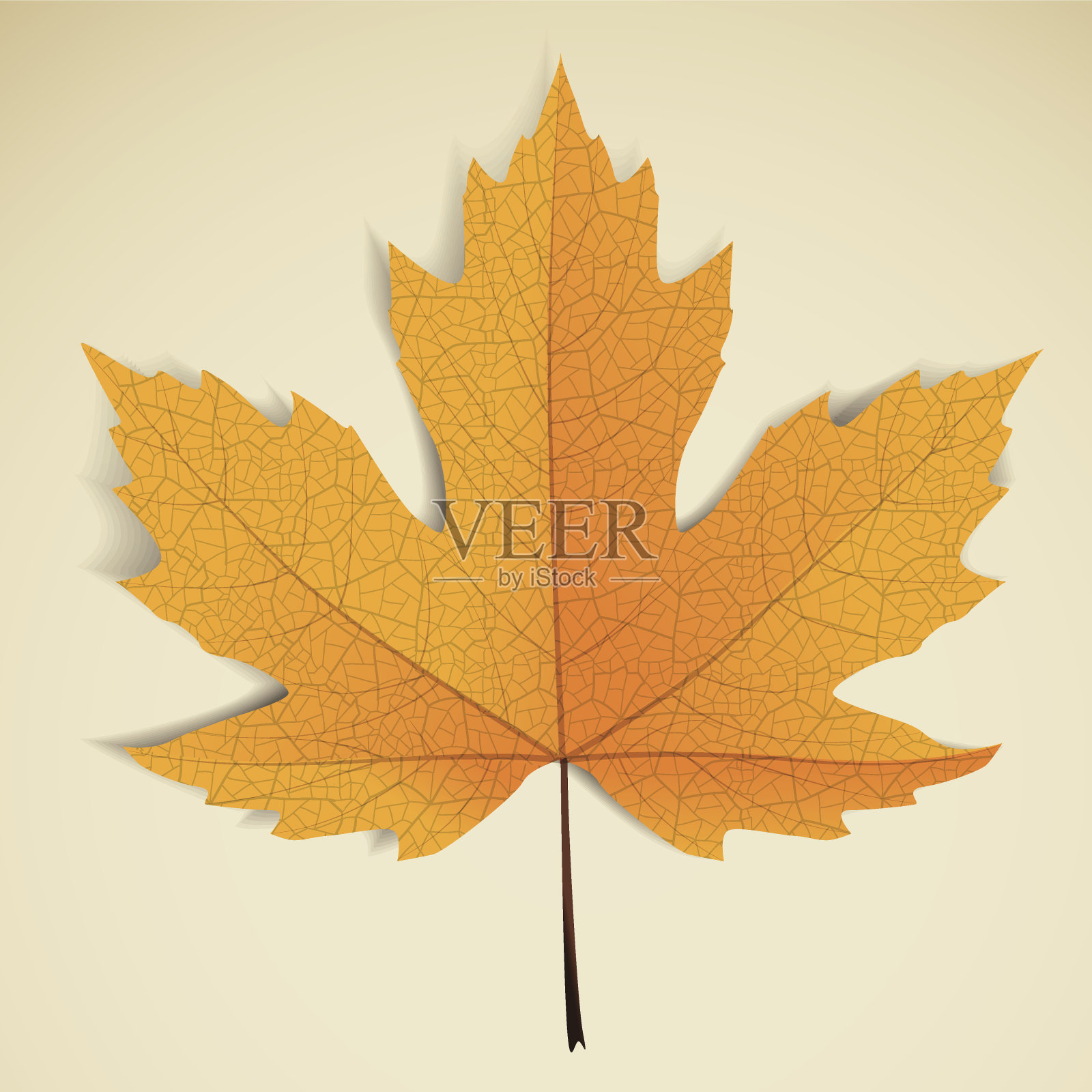 枫离开插画图片素材