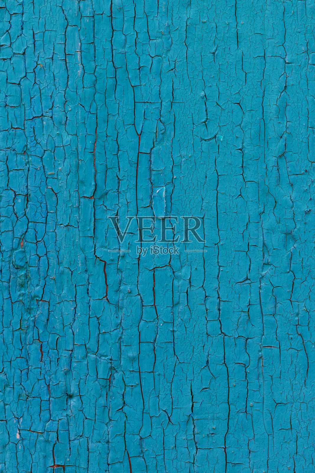 旧画照片摄影图片