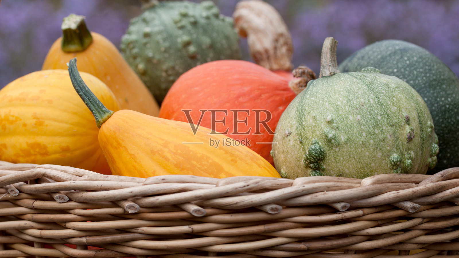 彩色zierk ?rbisse照片摄影图片