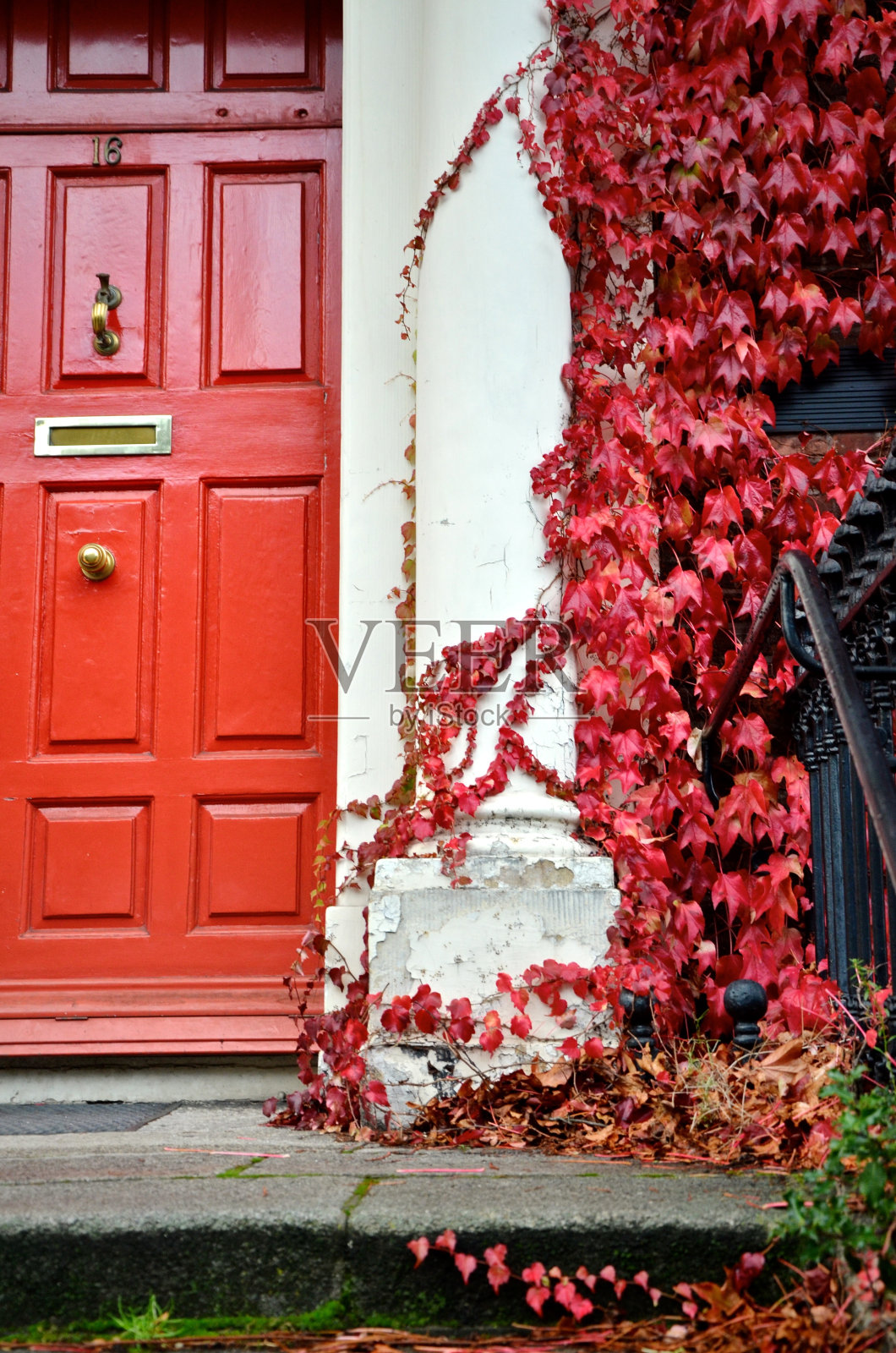 红色的照片摄影图片