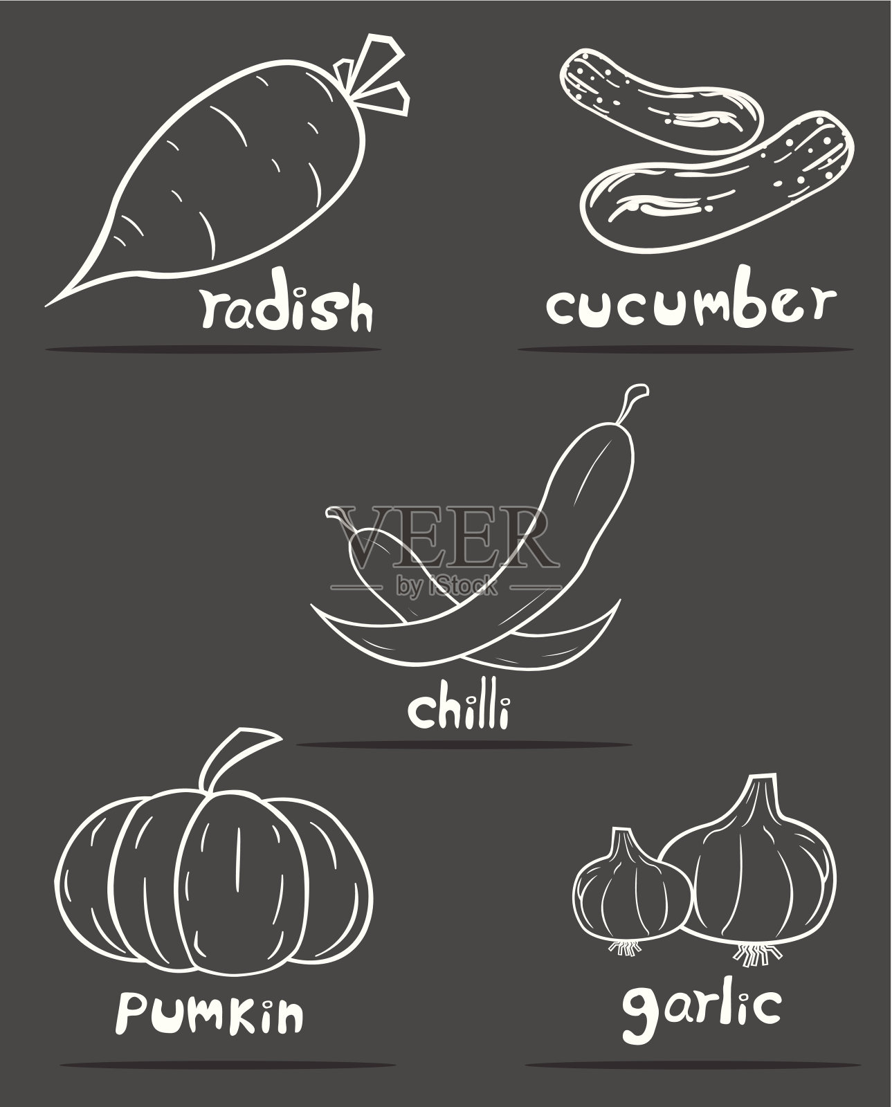 蔬菜与灰色背景插画图片素材