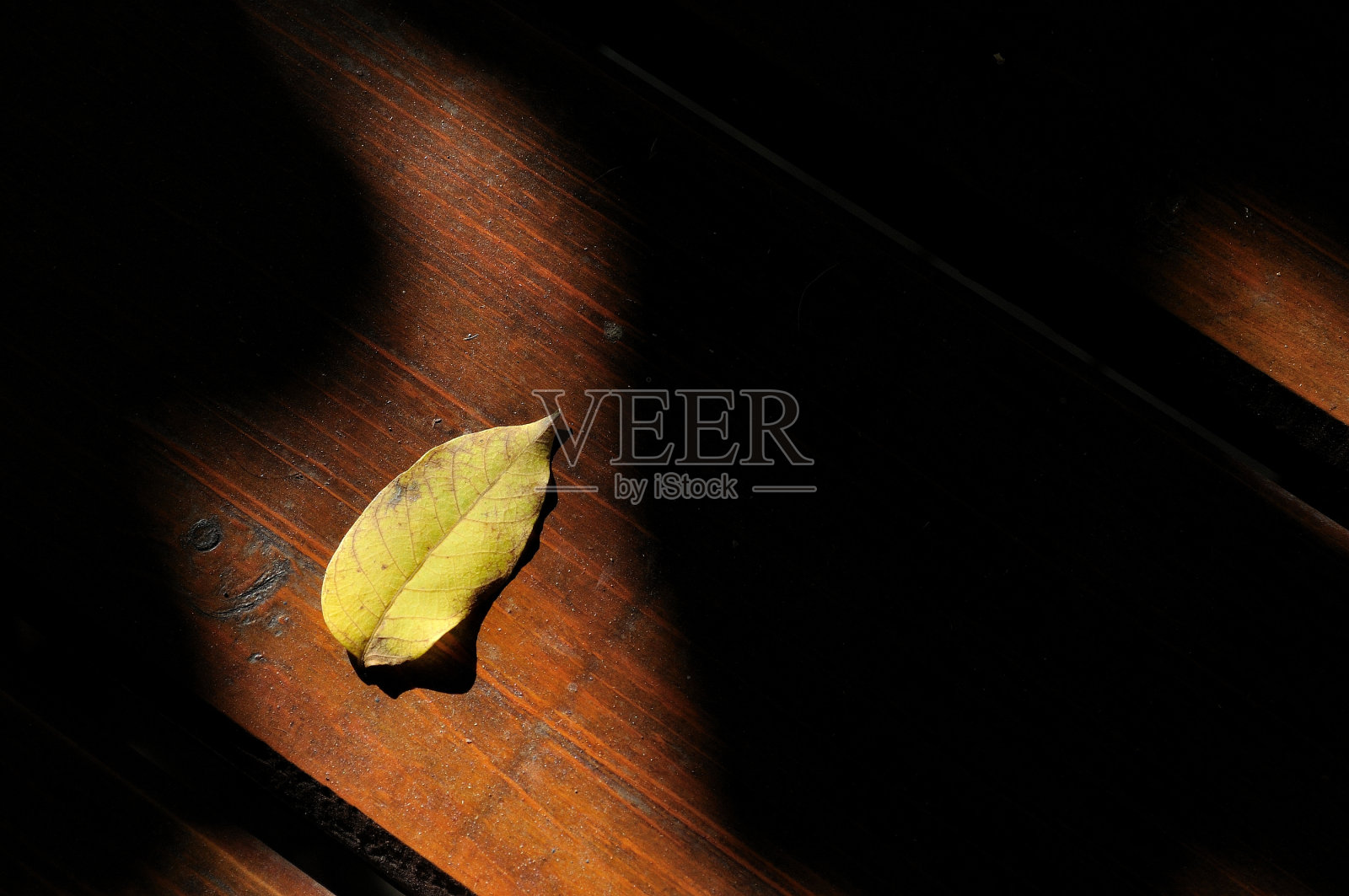 黄色的落叶落在木桌上照片摄影图片