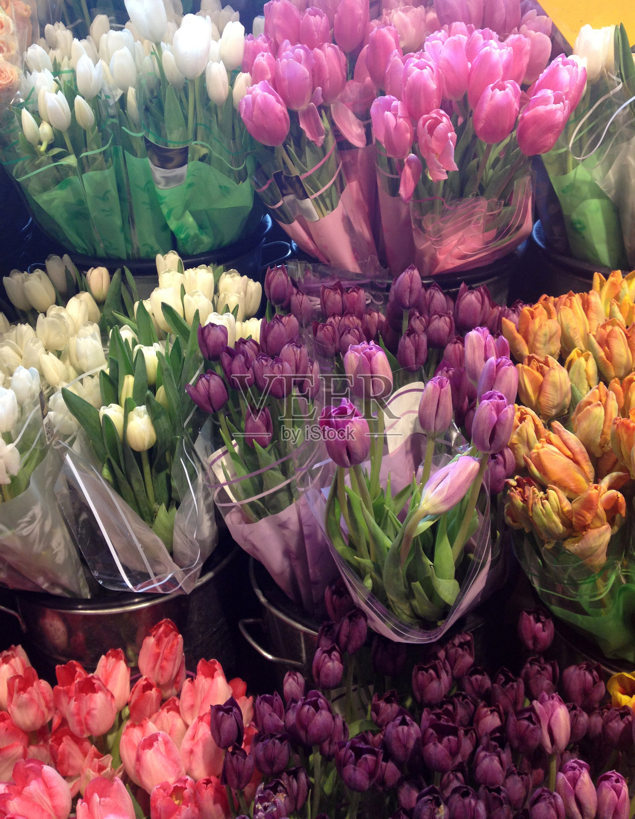 五颜六色的郁金香花束照片摄影图片