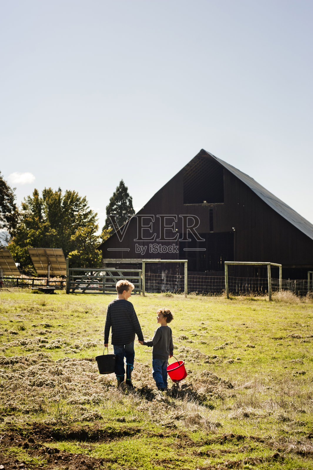 一起在农场度过时光。照片摄影图片