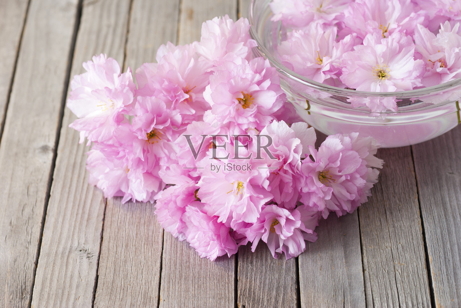 樱花，香碗照片摄影图片