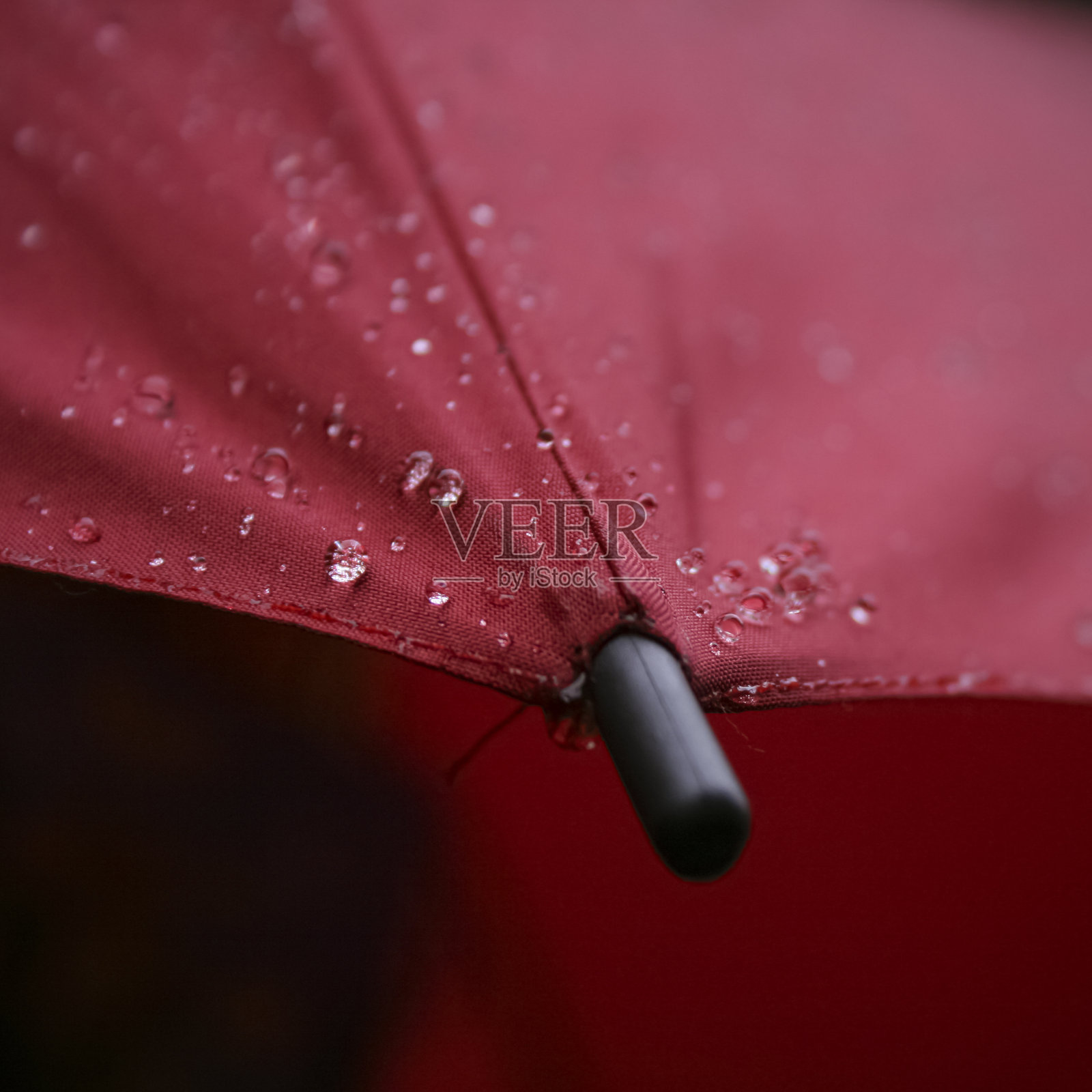 伞照片摄影图片