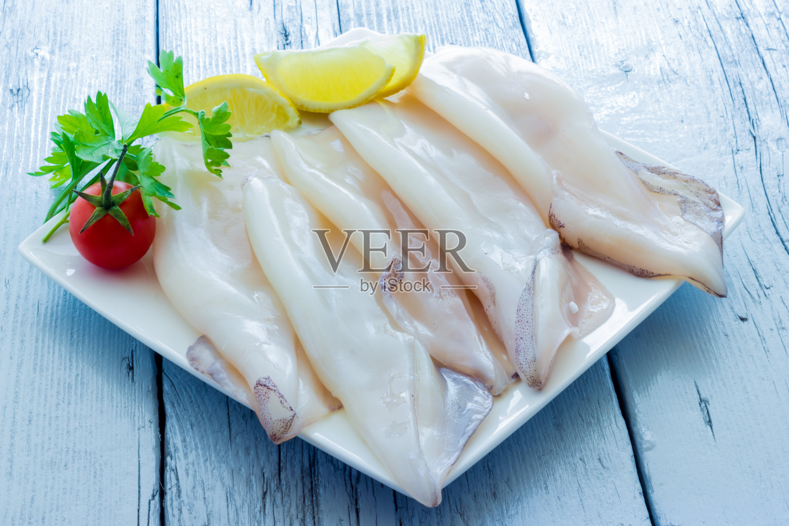 墨鱼照片摄影图片