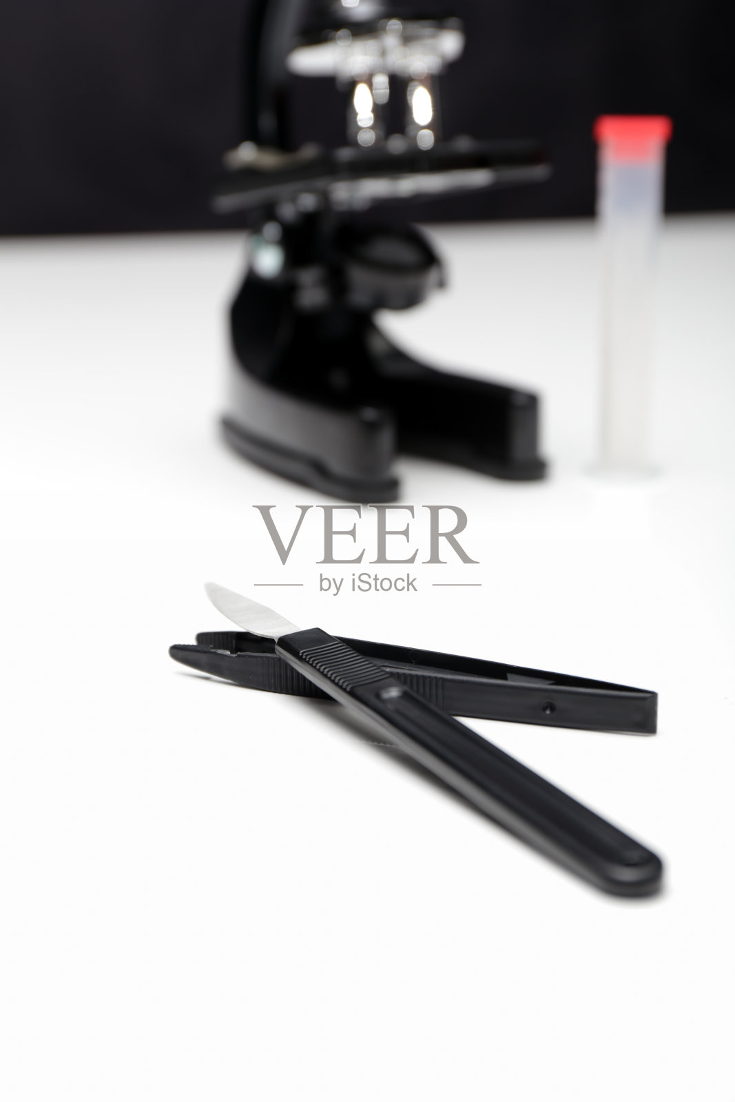 显微镜照片摄影图片