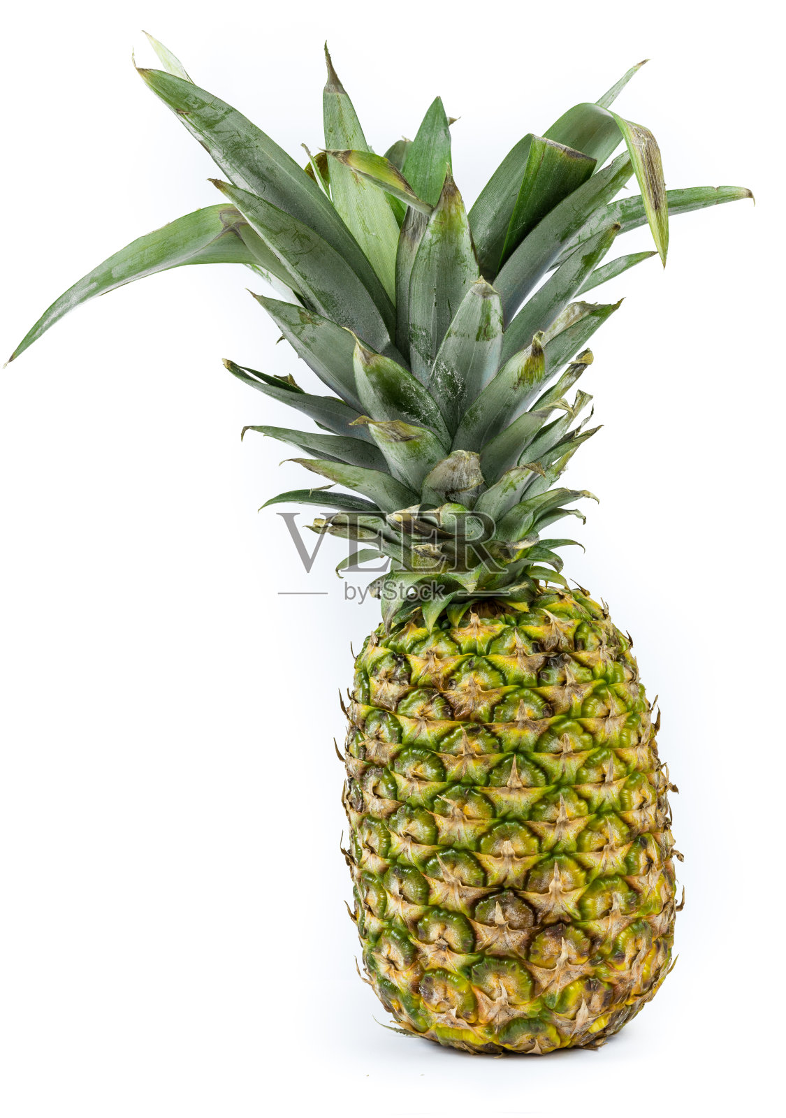 白色背景上的菠萝照片摄影图片