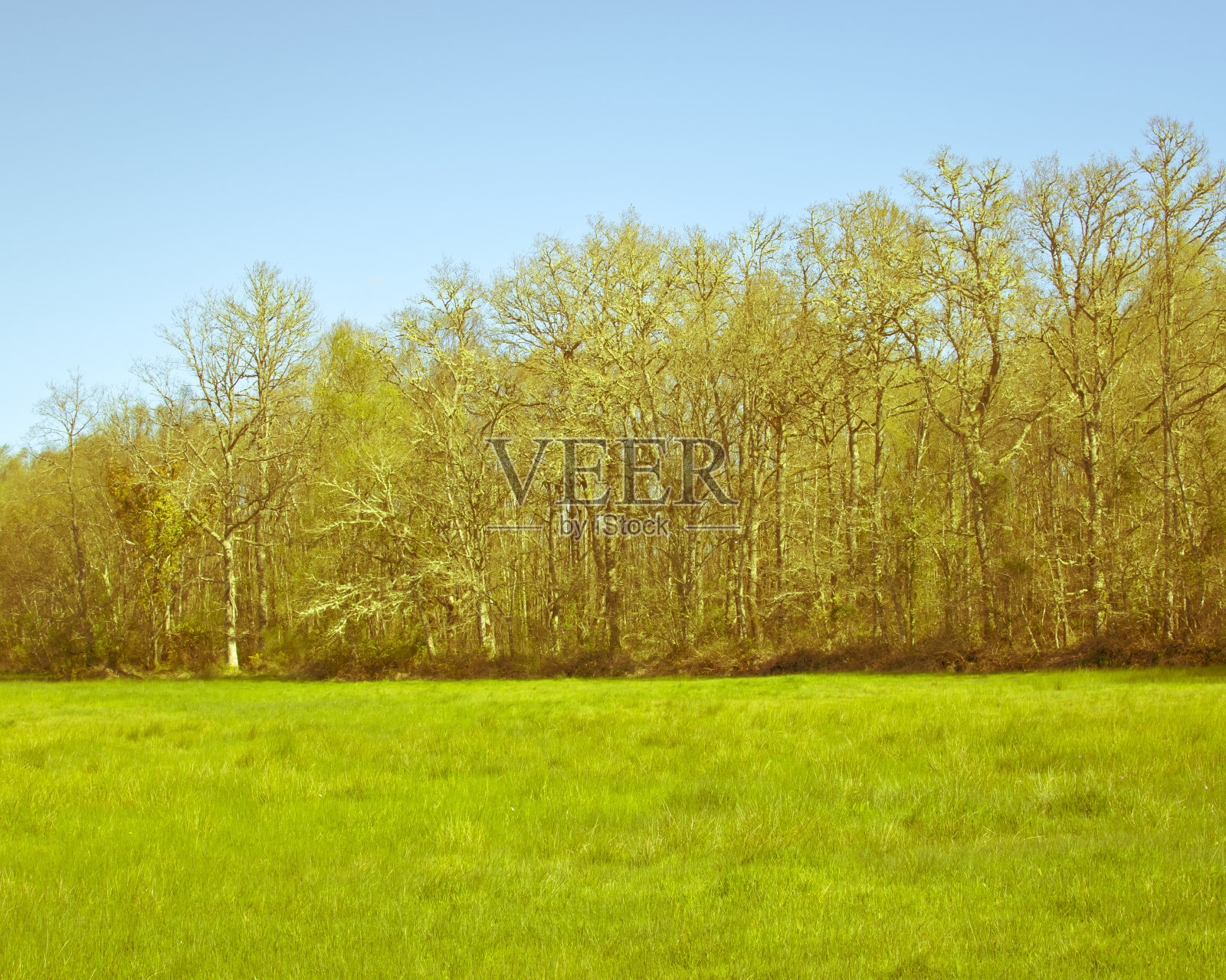 景观照片摄影图片