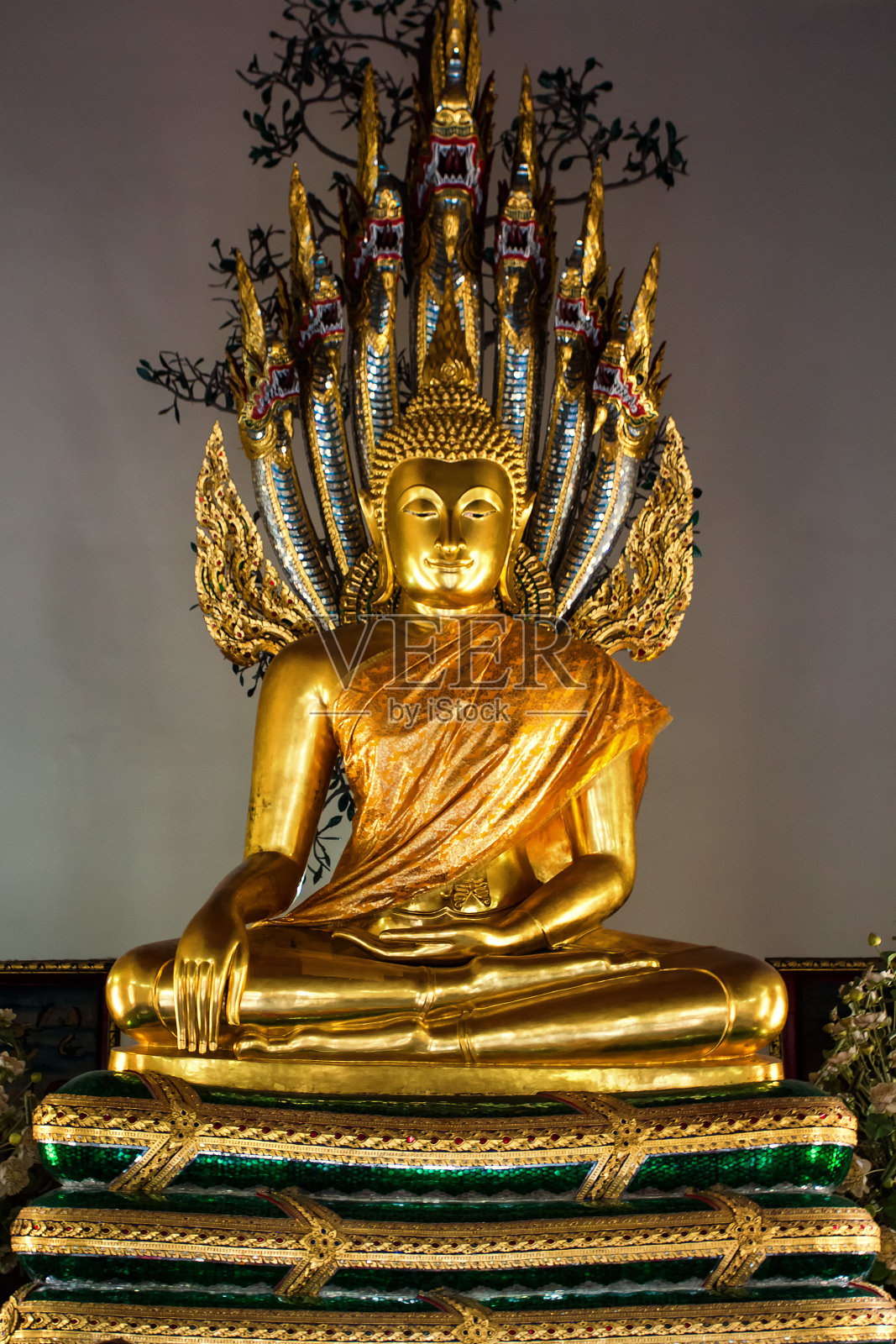 坐着金佛和那伽照片摄影图片