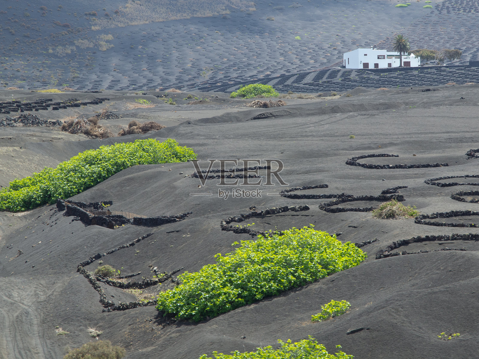 罐头照片摄影图片