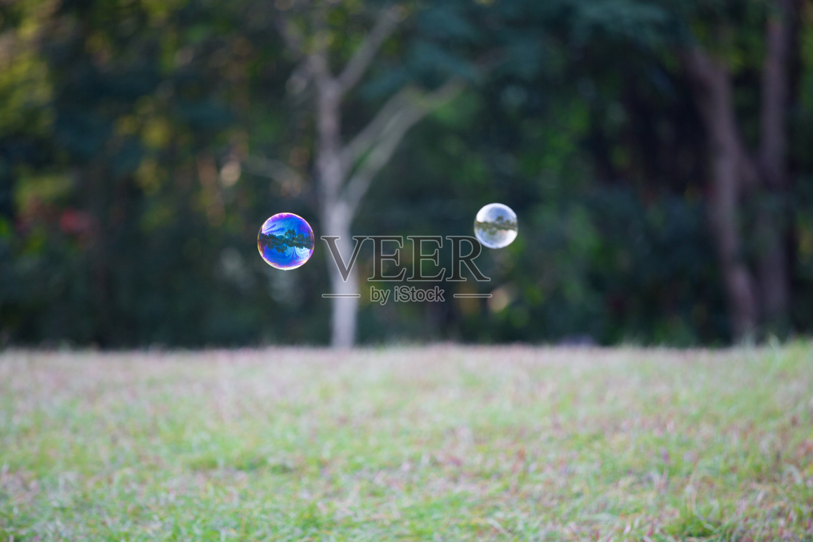 肥皂泡照片摄影图片