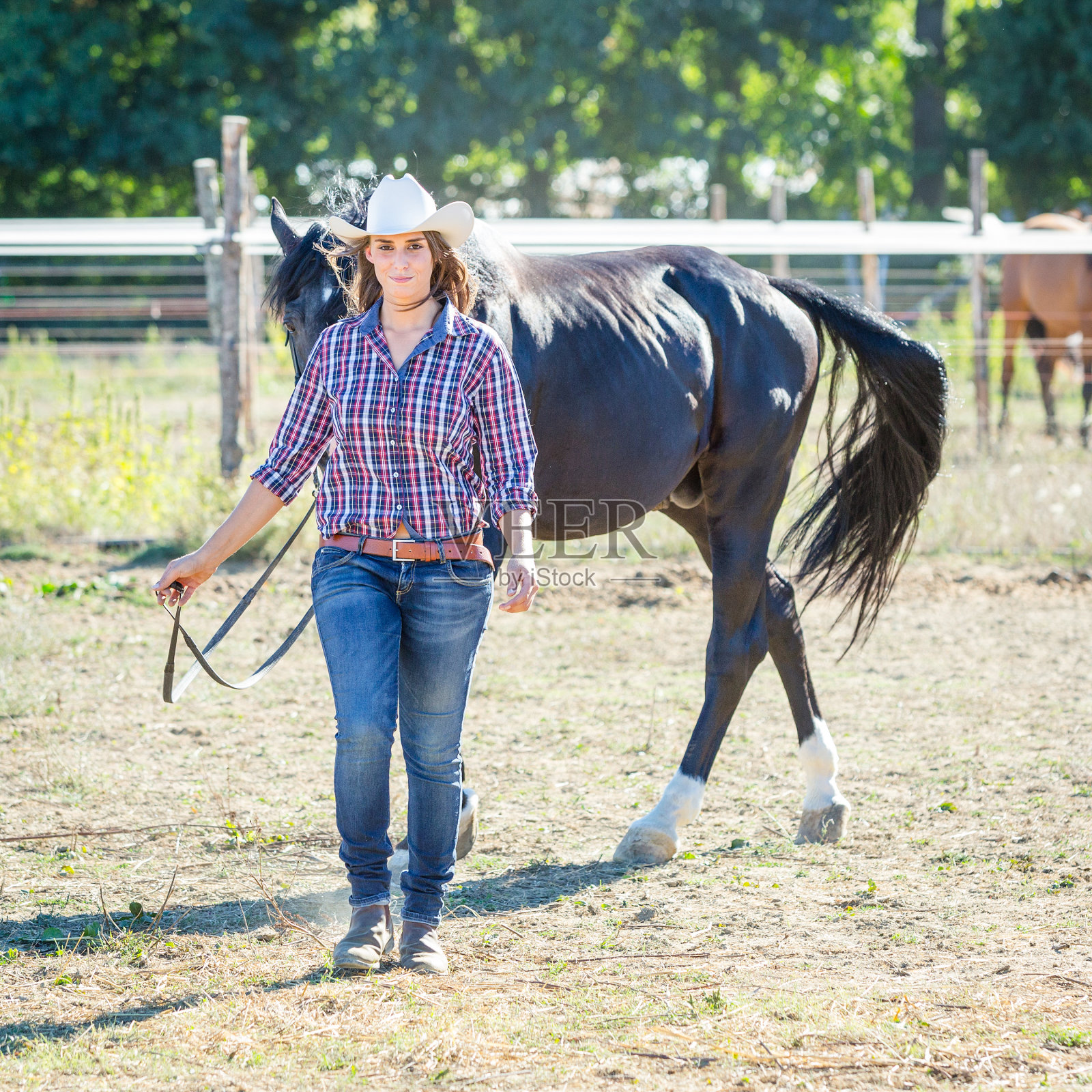女牛仔和一匹黑种马照片摄影图片