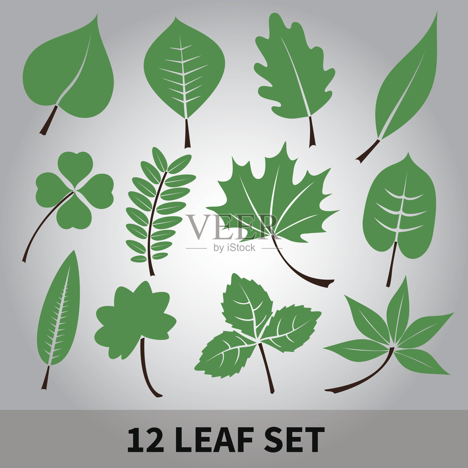 秋叶集插画图片素材