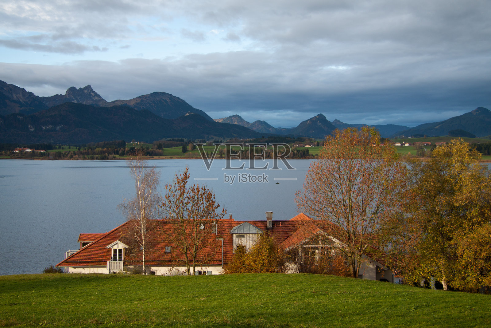 Hopfen我看到照片摄影图片