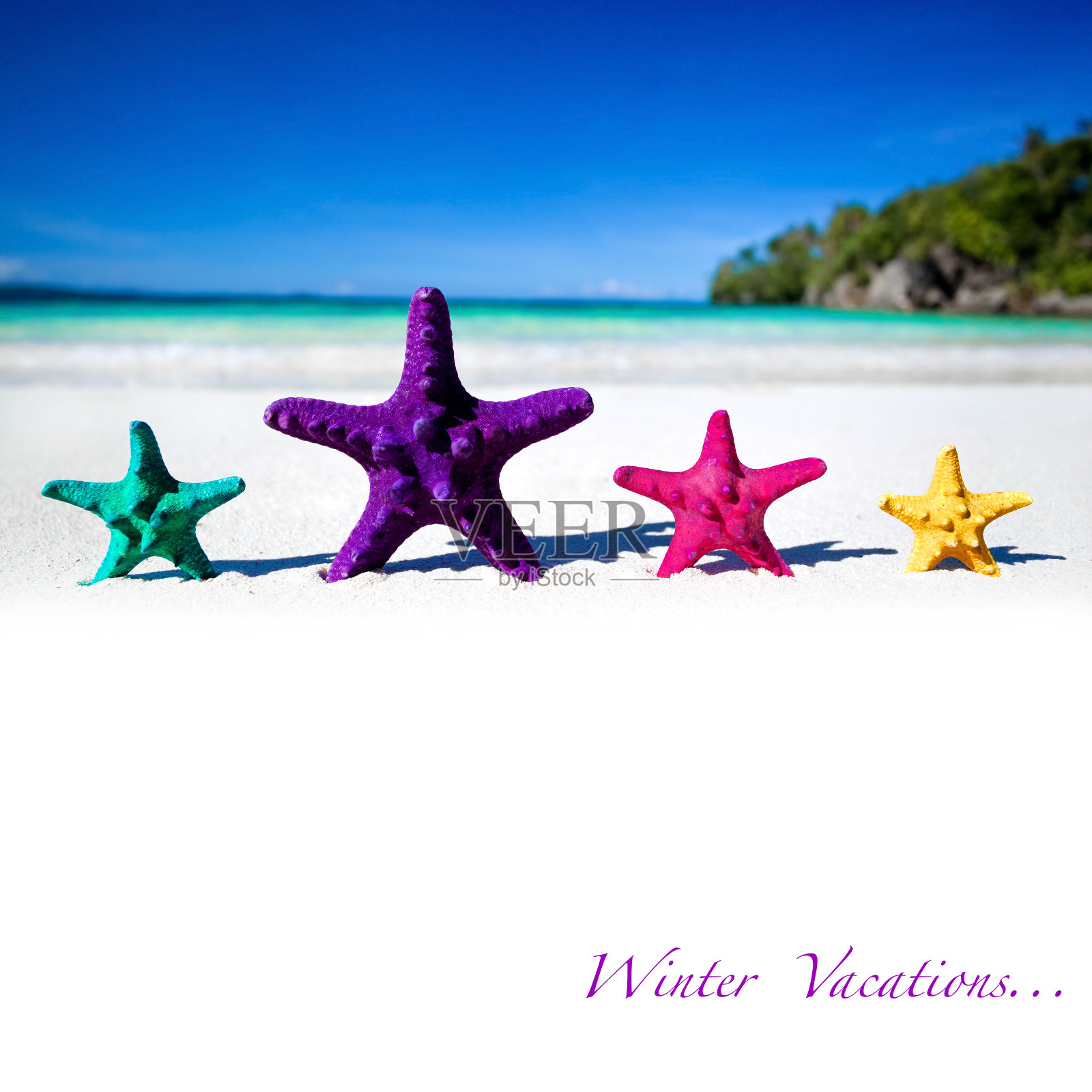 沙滩上的彩色海星照片摄影图片