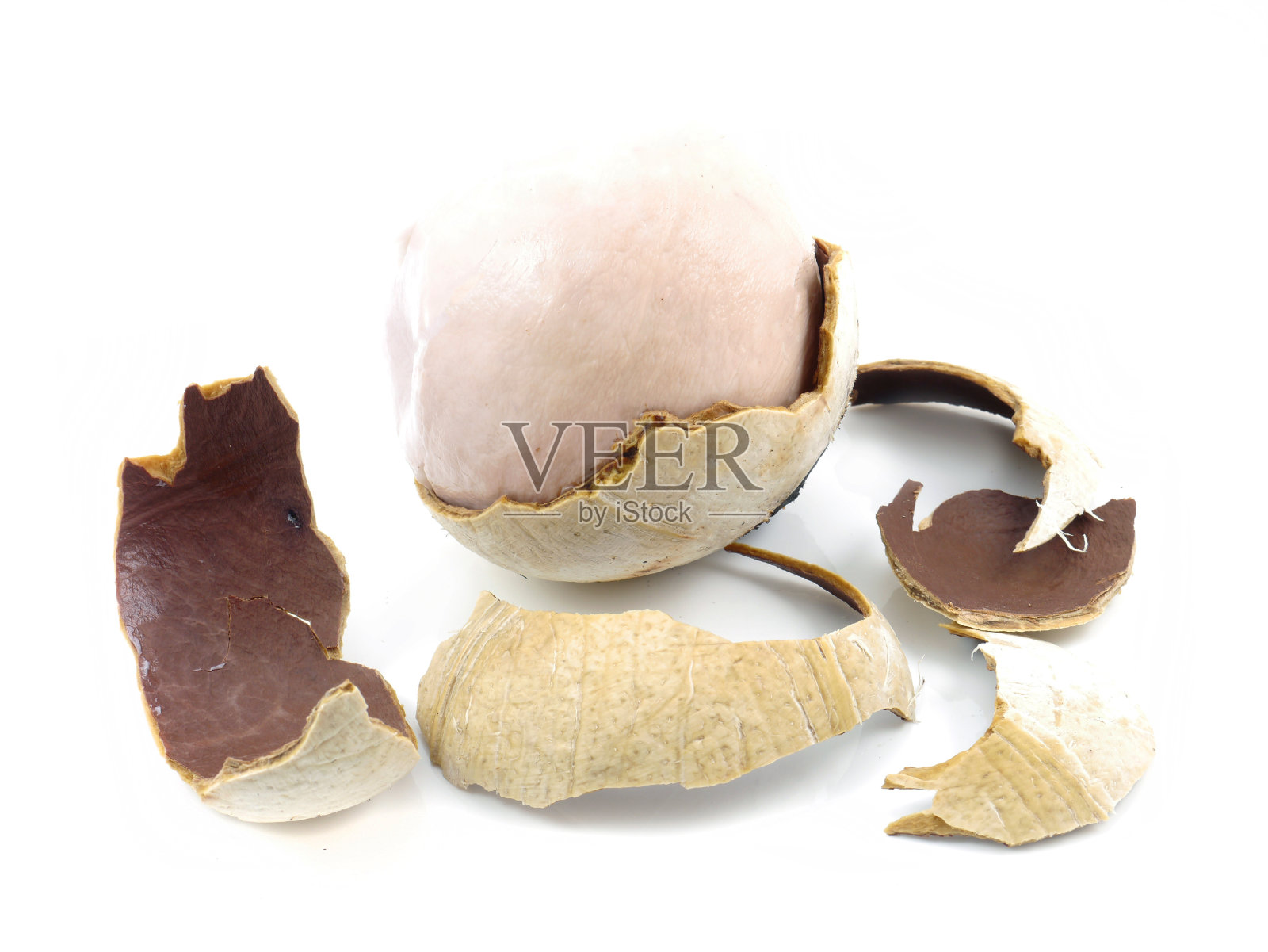 燃烧椰子。照片摄影图片