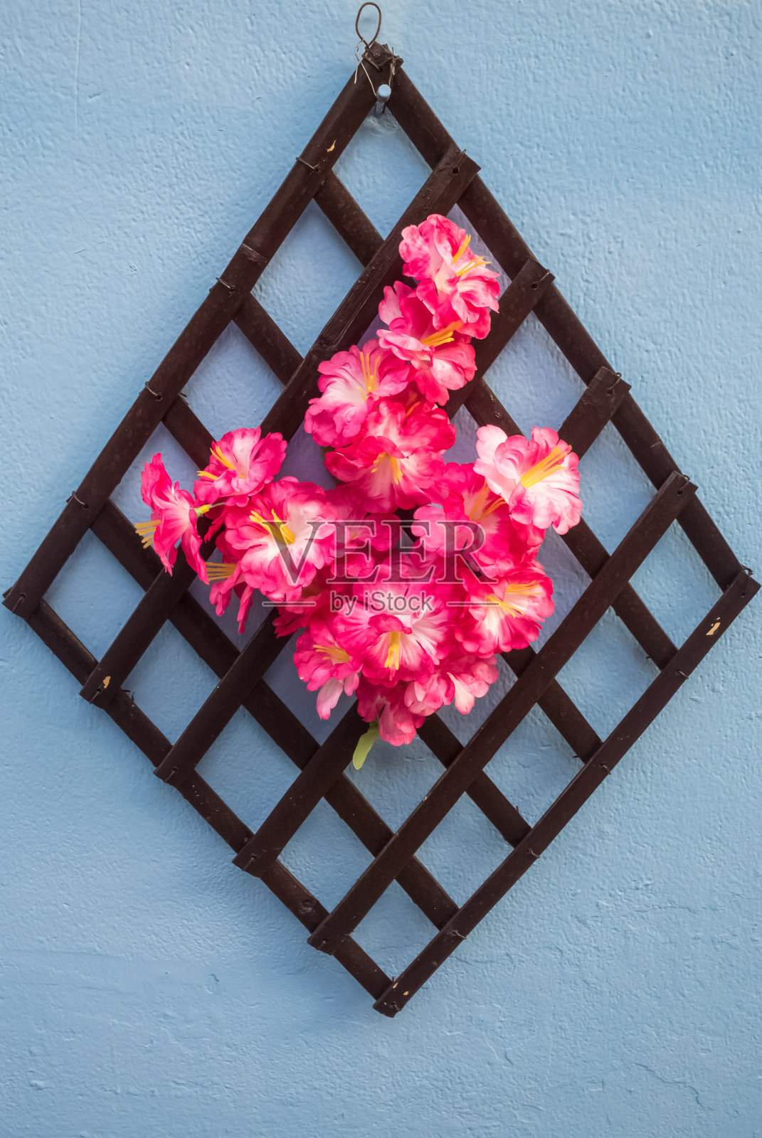 装饰花照片摄影图片