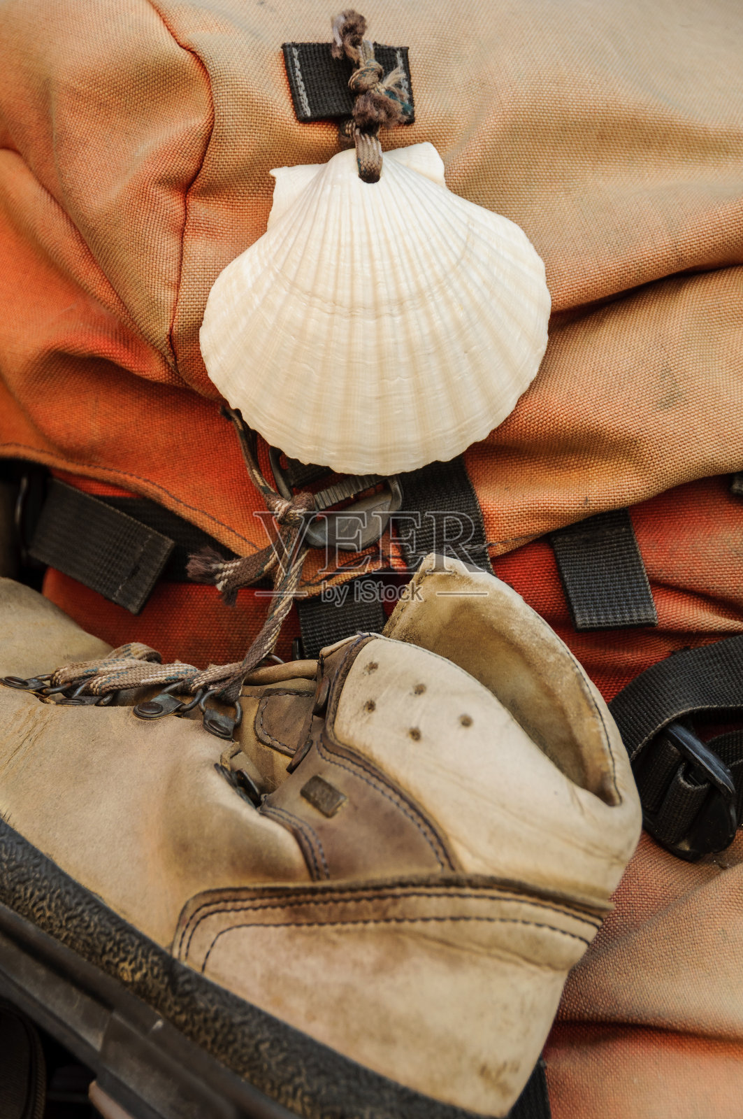 背包上的贝壳和鞋子照片摄影图片