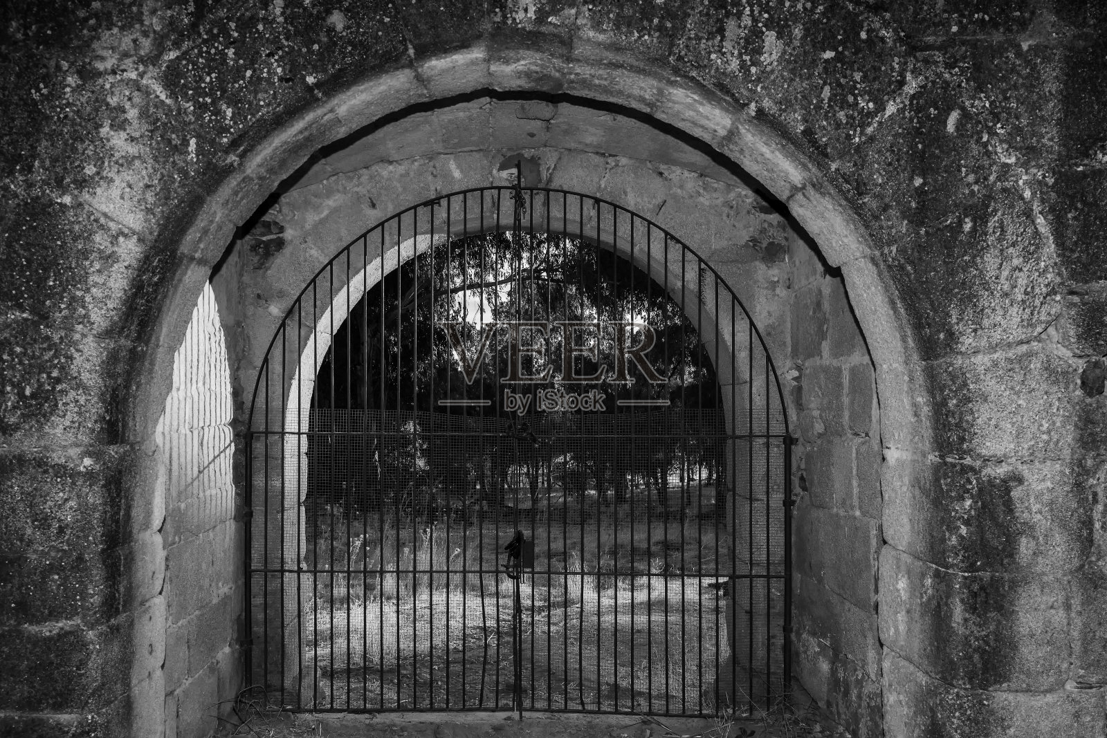 古老的门照片摄影图片