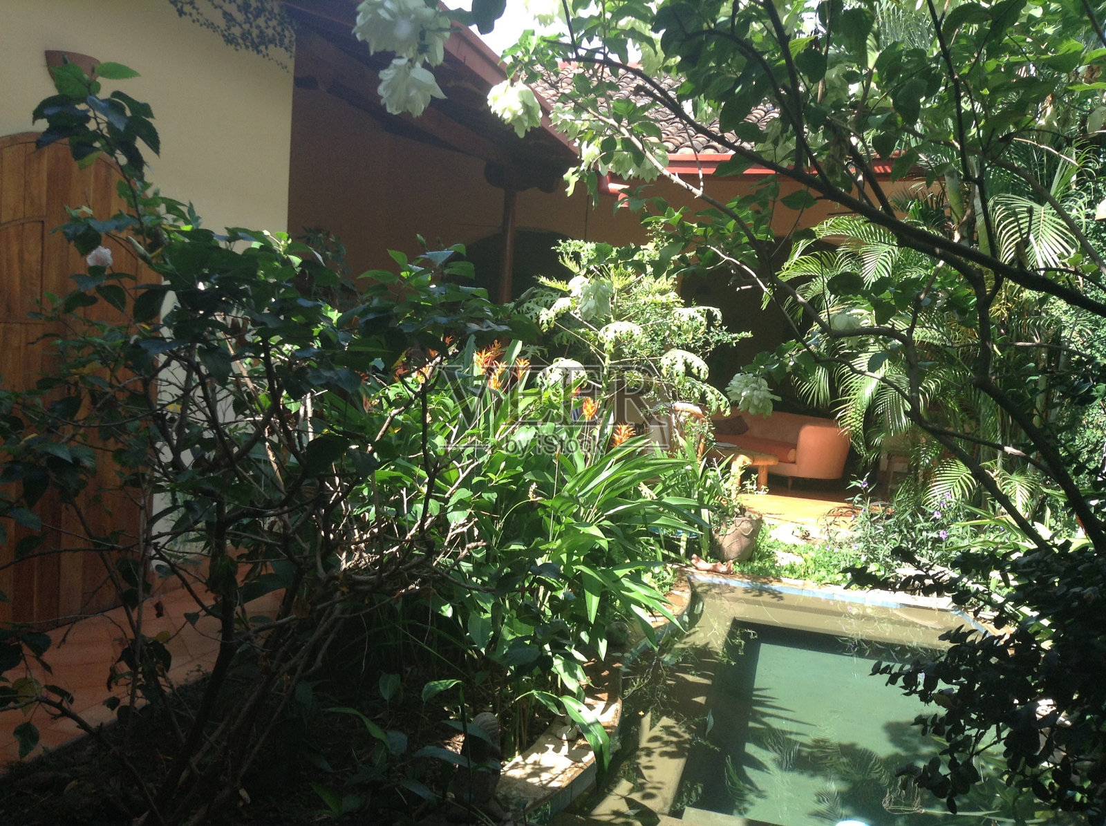 内部庭院。照片摄影图片