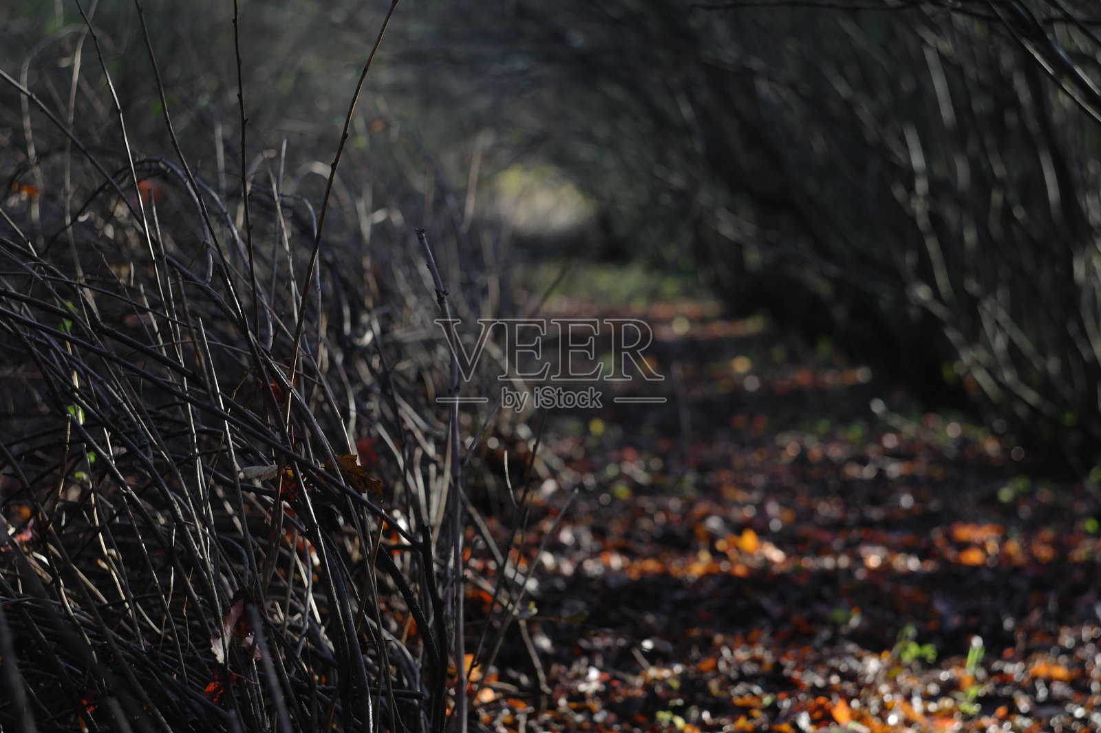黑暗的小巷照片摄影图片