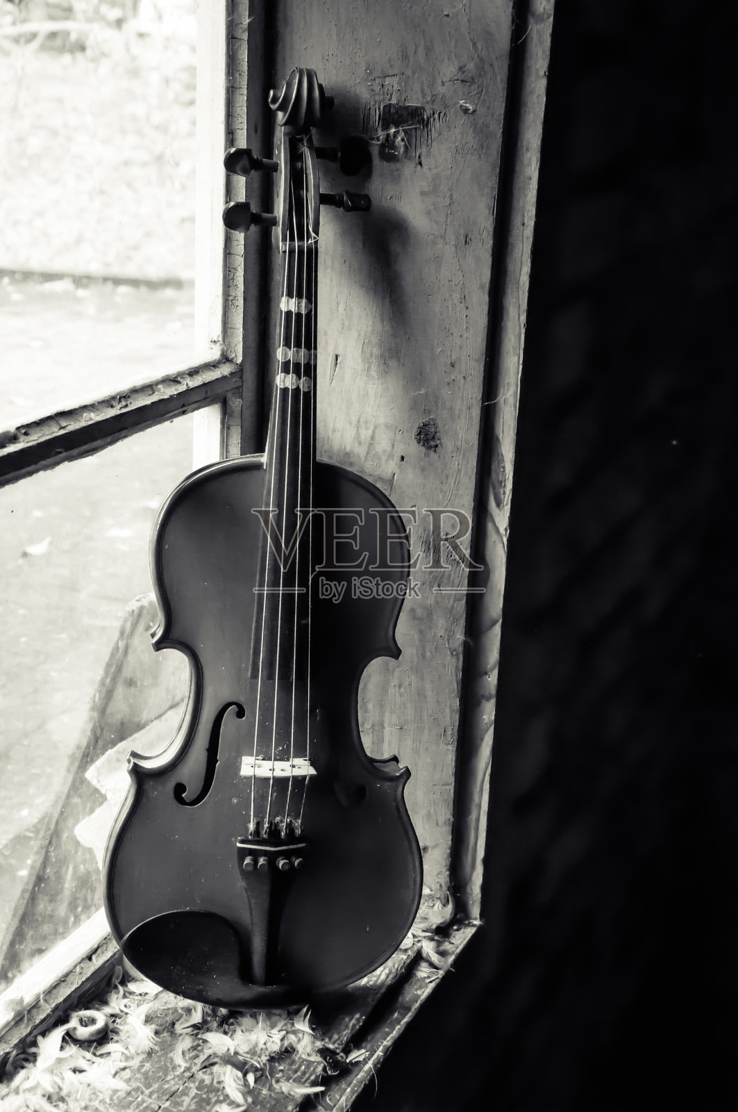 小提琴照片摄影图片