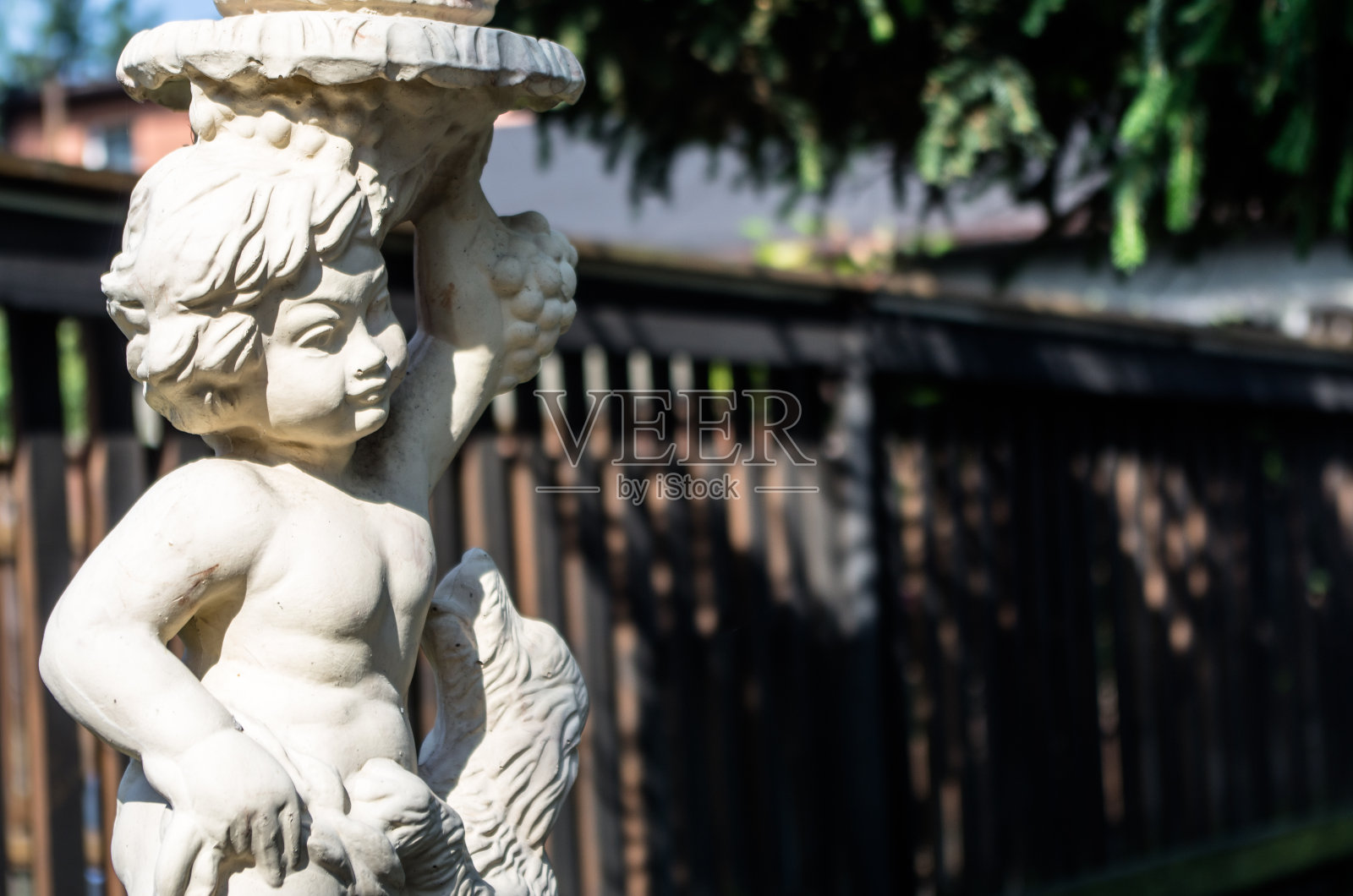 的原因照片摄影图片