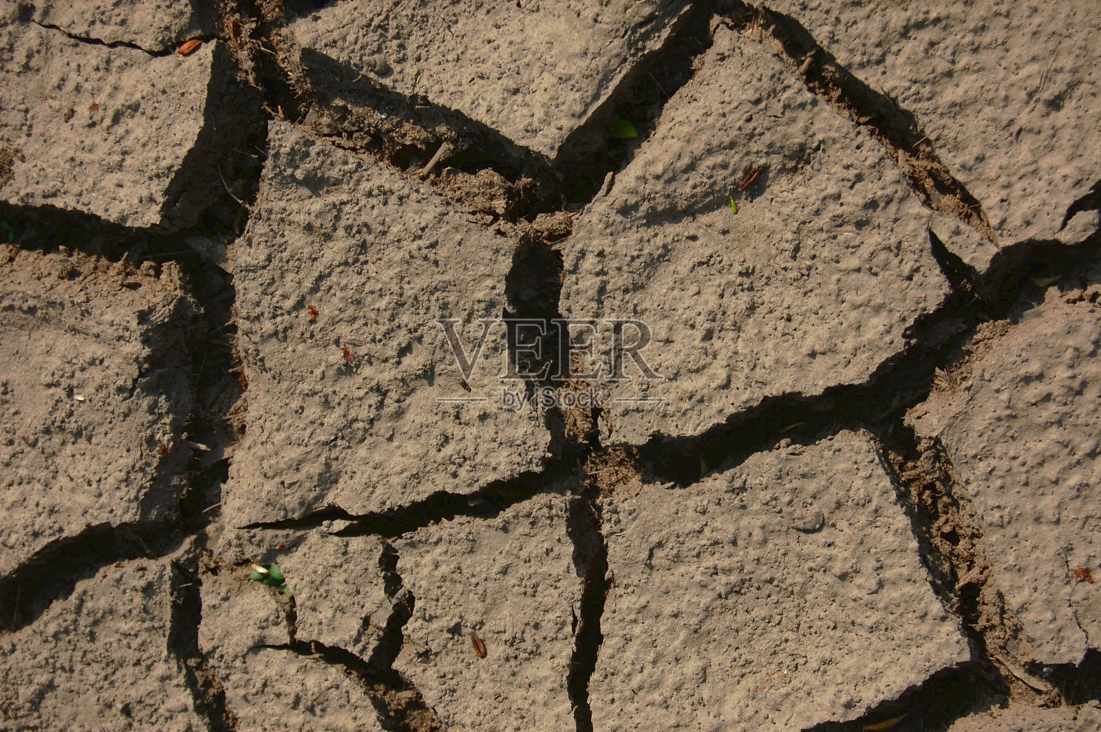 干土照片摄影图片