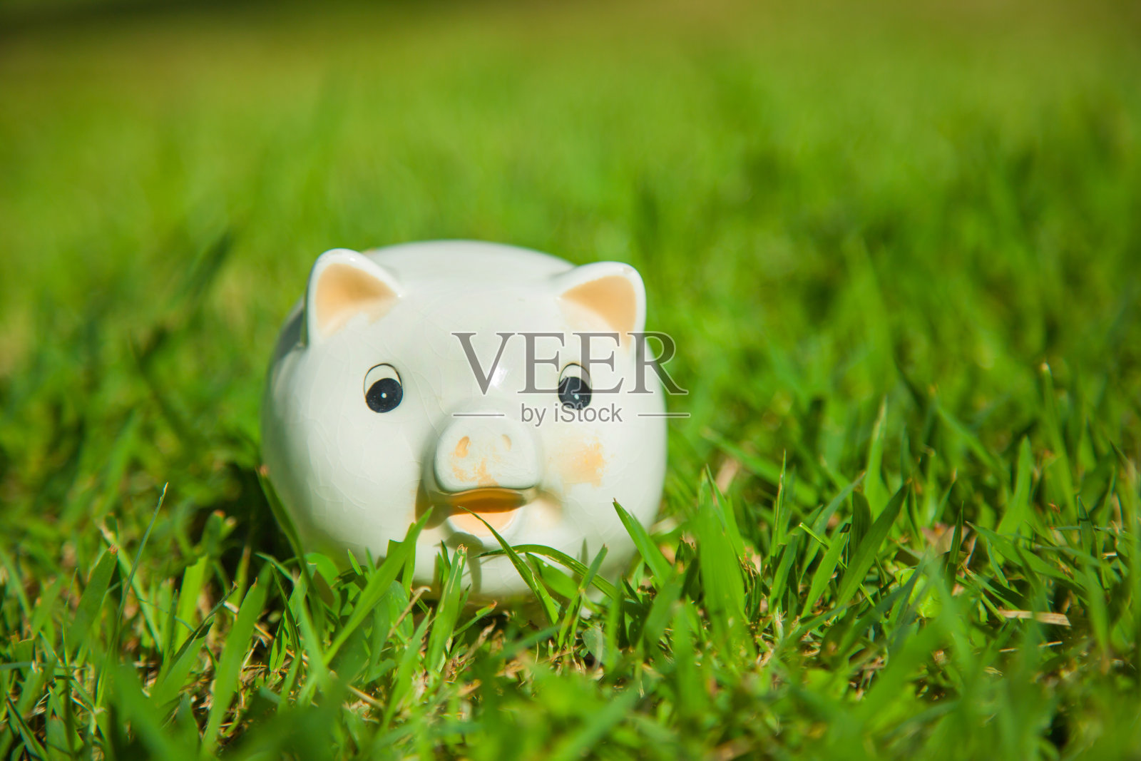 扑满。照片摄影图片