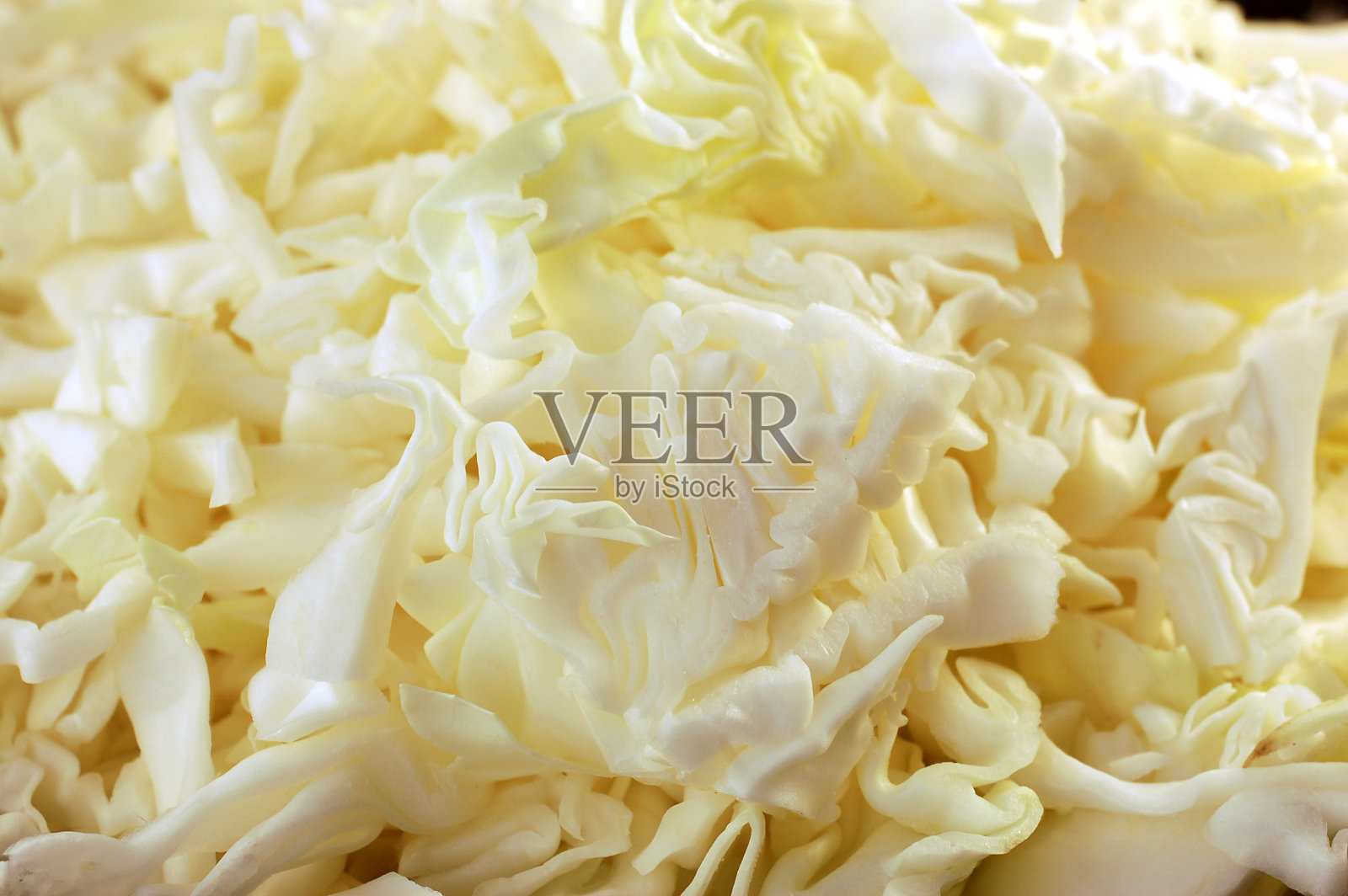 卷心菜照片摄影图片