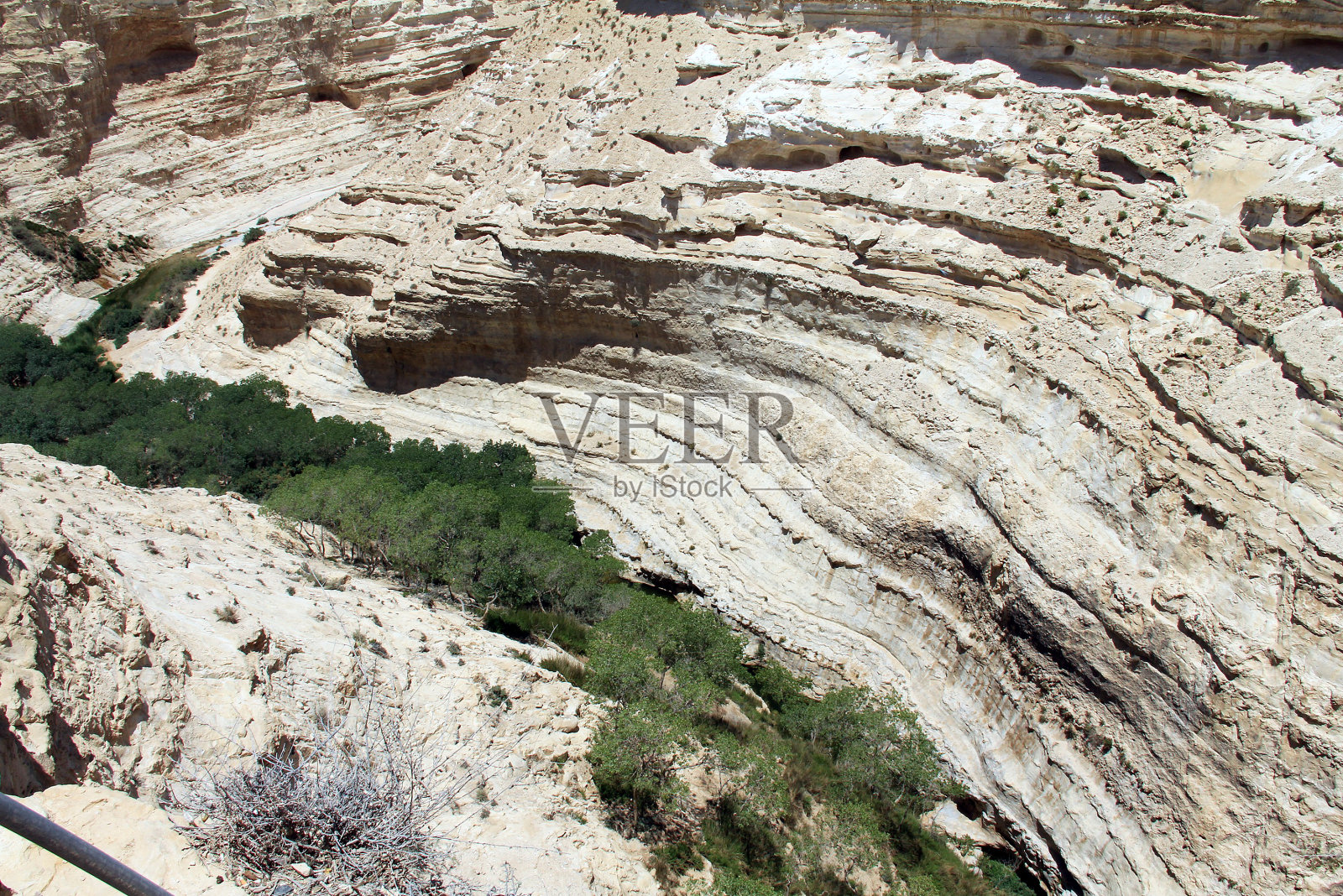 以色列内盖夫沙漠的艾因阿夫达峡谷。照片摄影图片