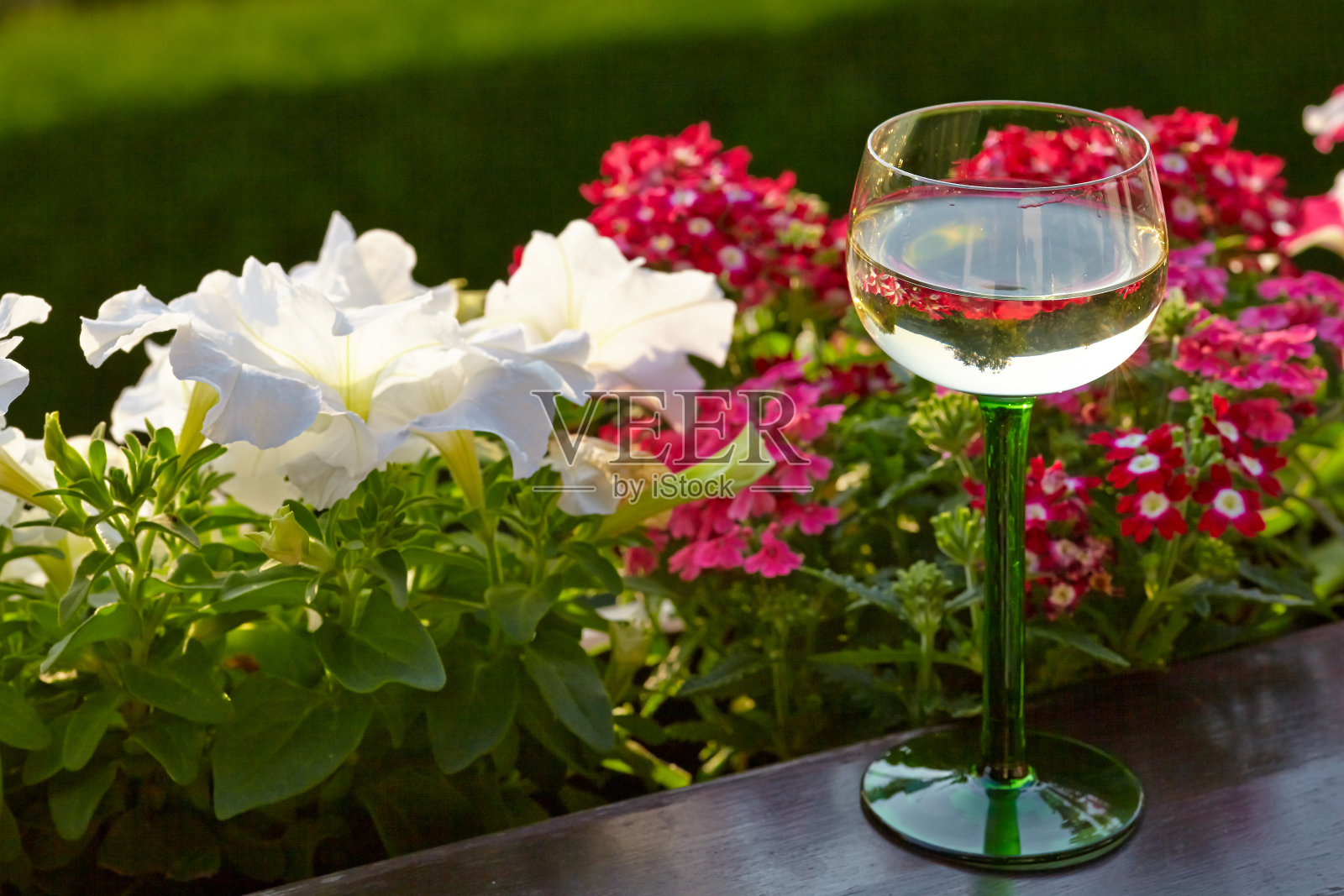 酒杯上放着美丽的鲜花照片摄影图片