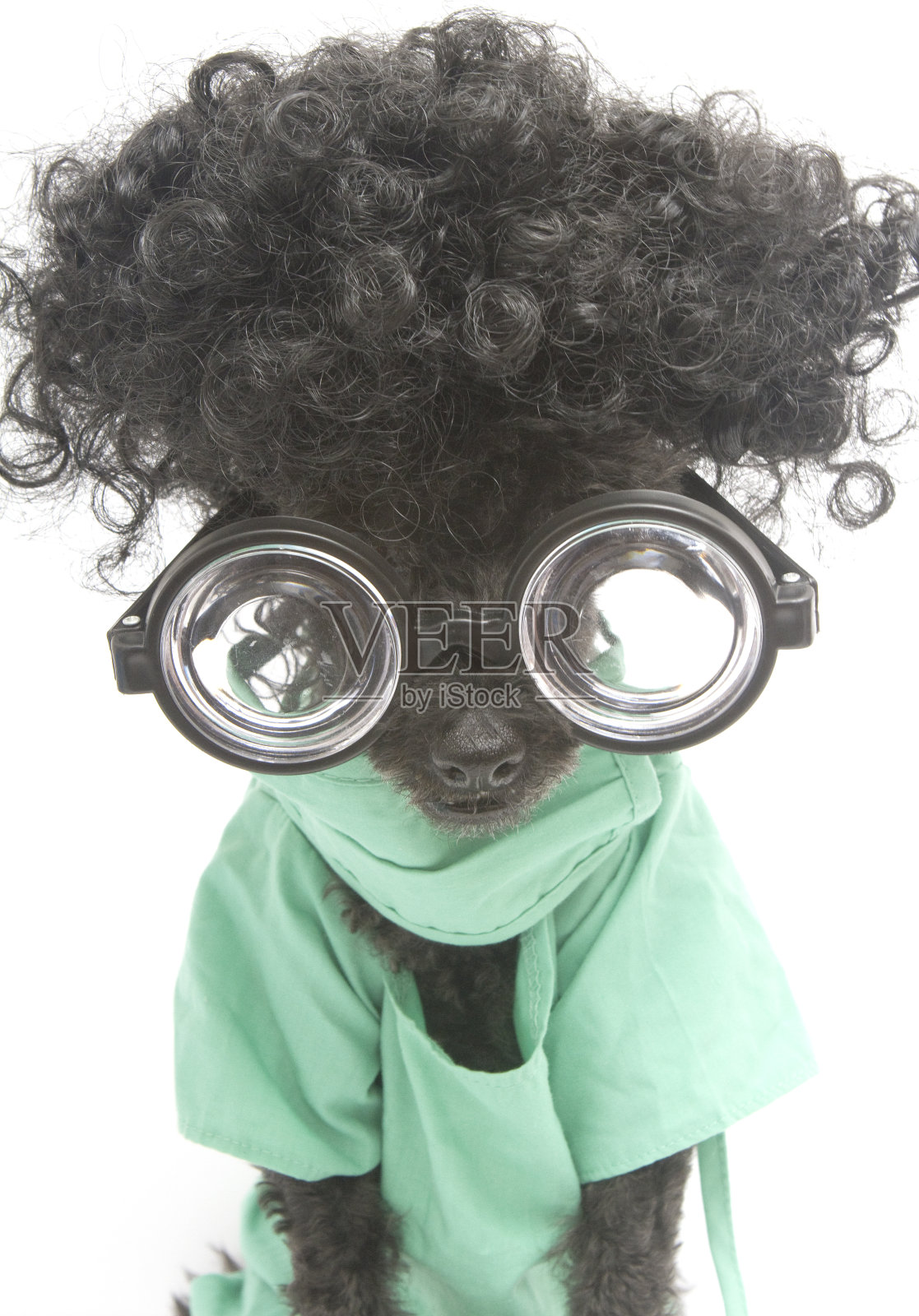 擦洗了书呆子照片摄影图片