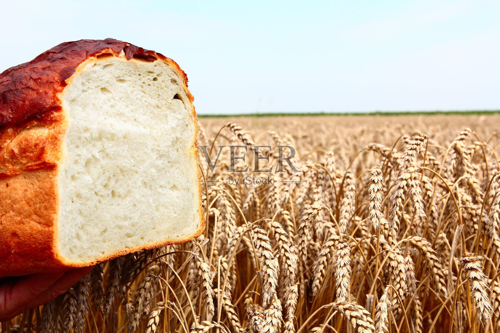 面包照片摄影图片