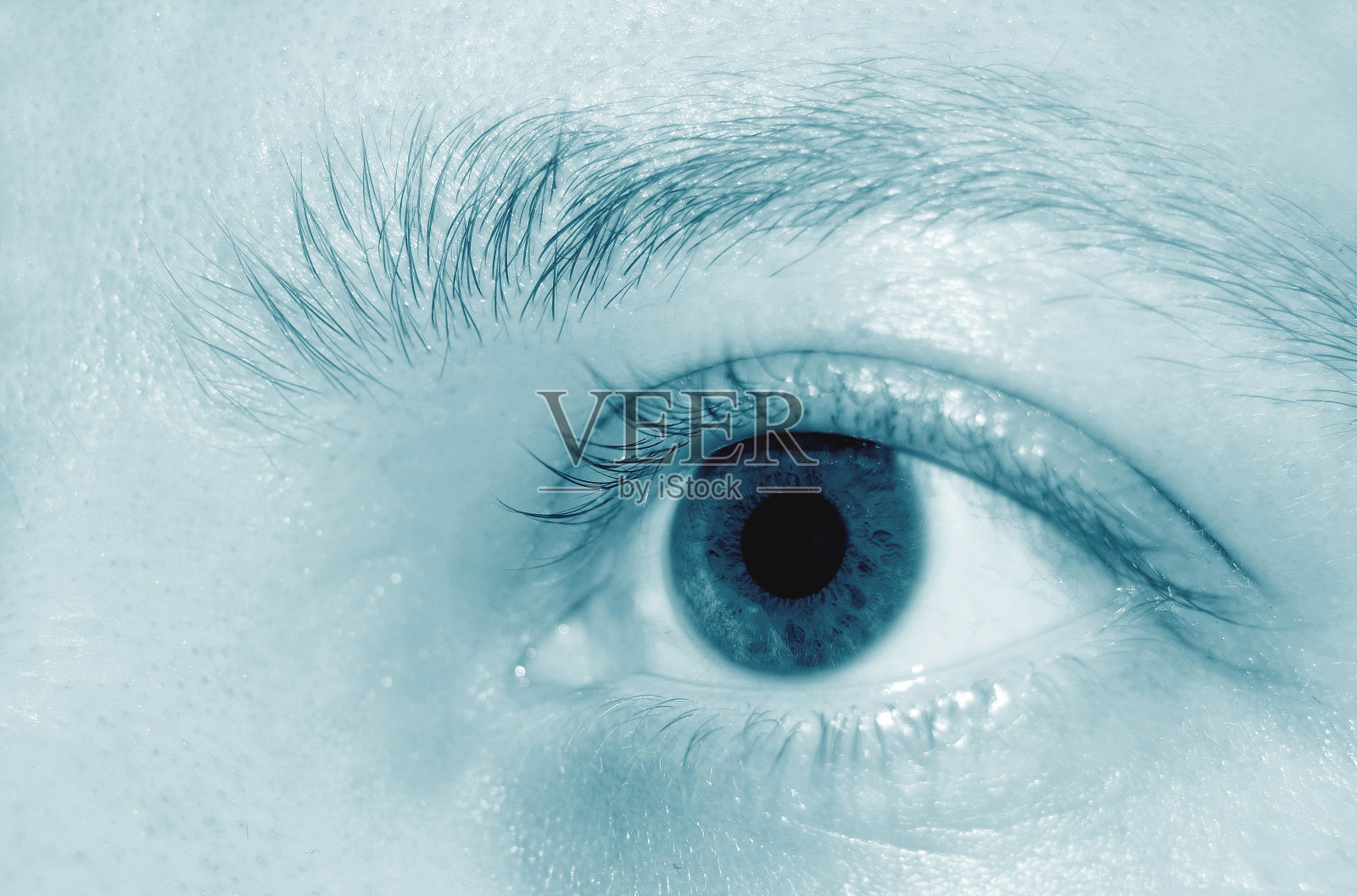 眼睛细节照片摄影图片