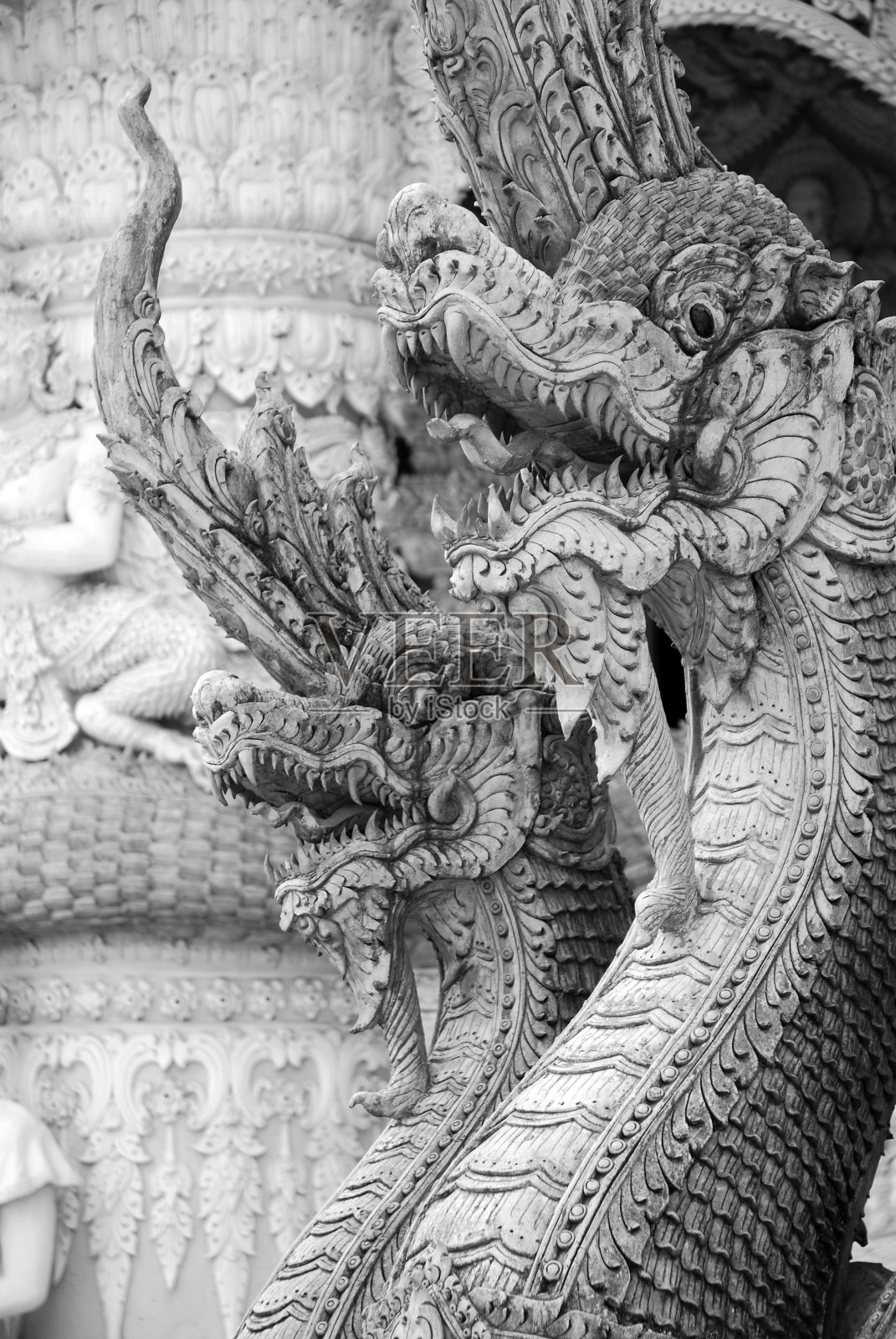 龙族之王照片摄影图片