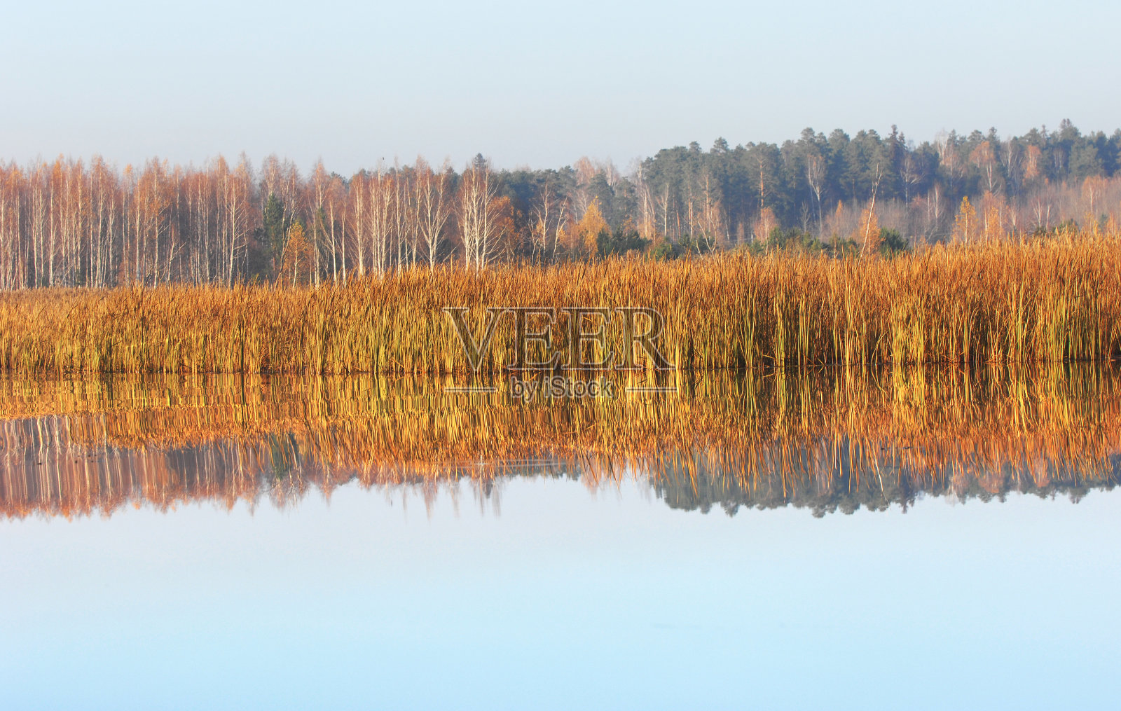 这条河照片摄影图片