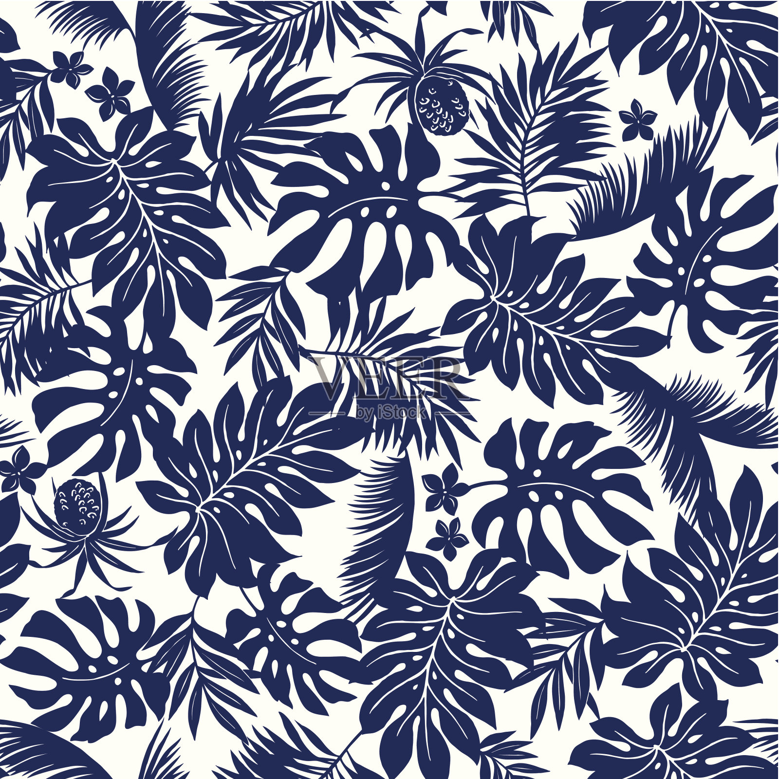 热带的叶子插画图片素材