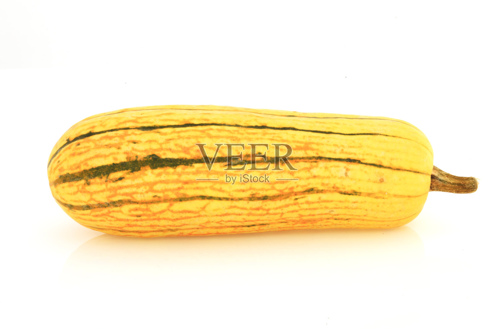 孤立的南瓜照片摄影图片