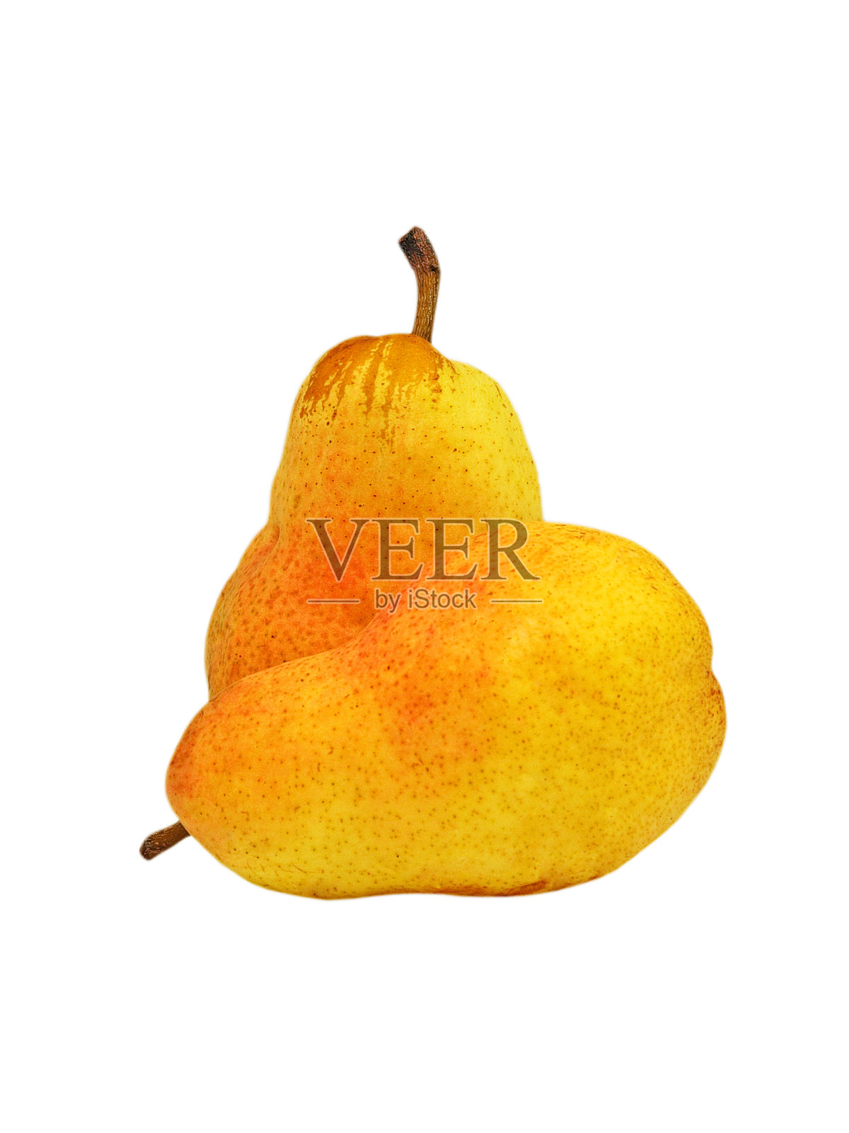 两个熟透的黄梨。照片摄影图片