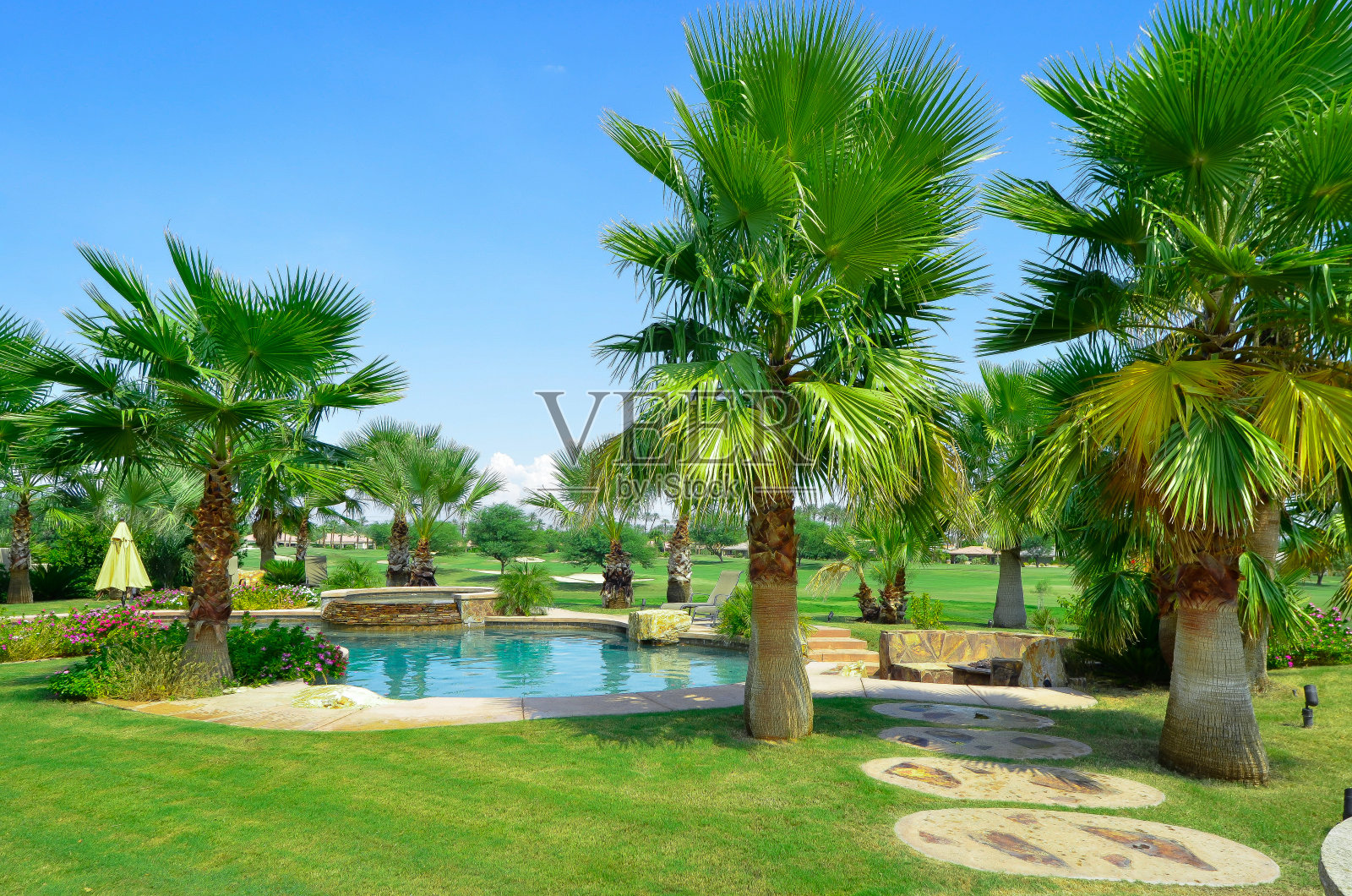 后院的天堂照片摄影图片