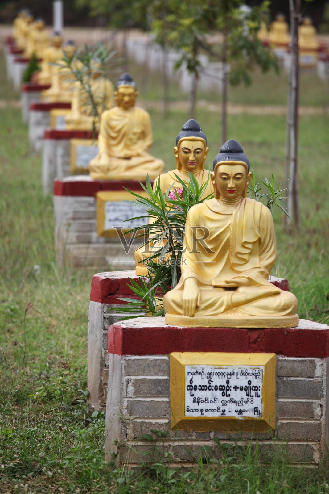 佛像的花园照片摄影图片