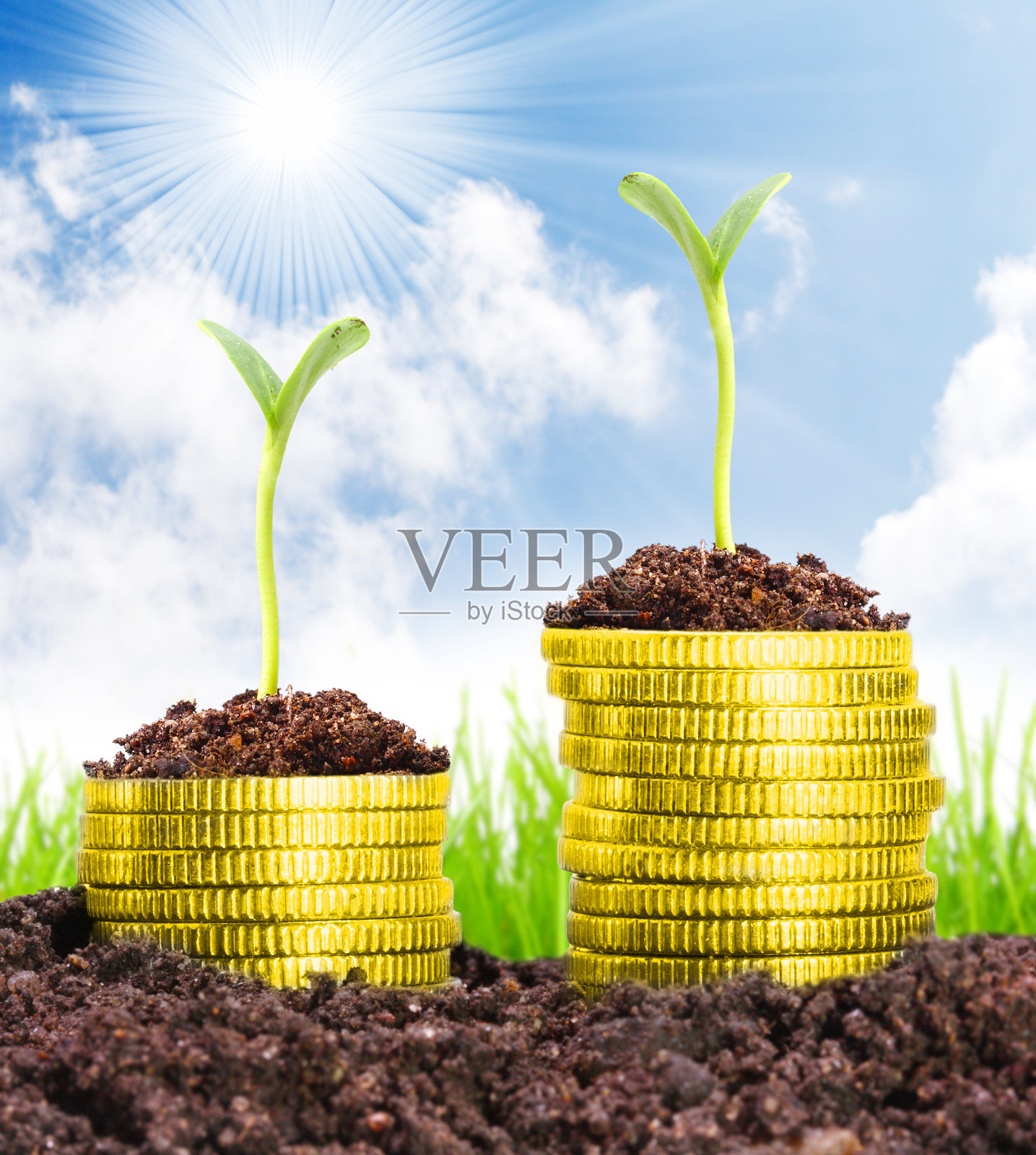 货币增长。照片摄影图片