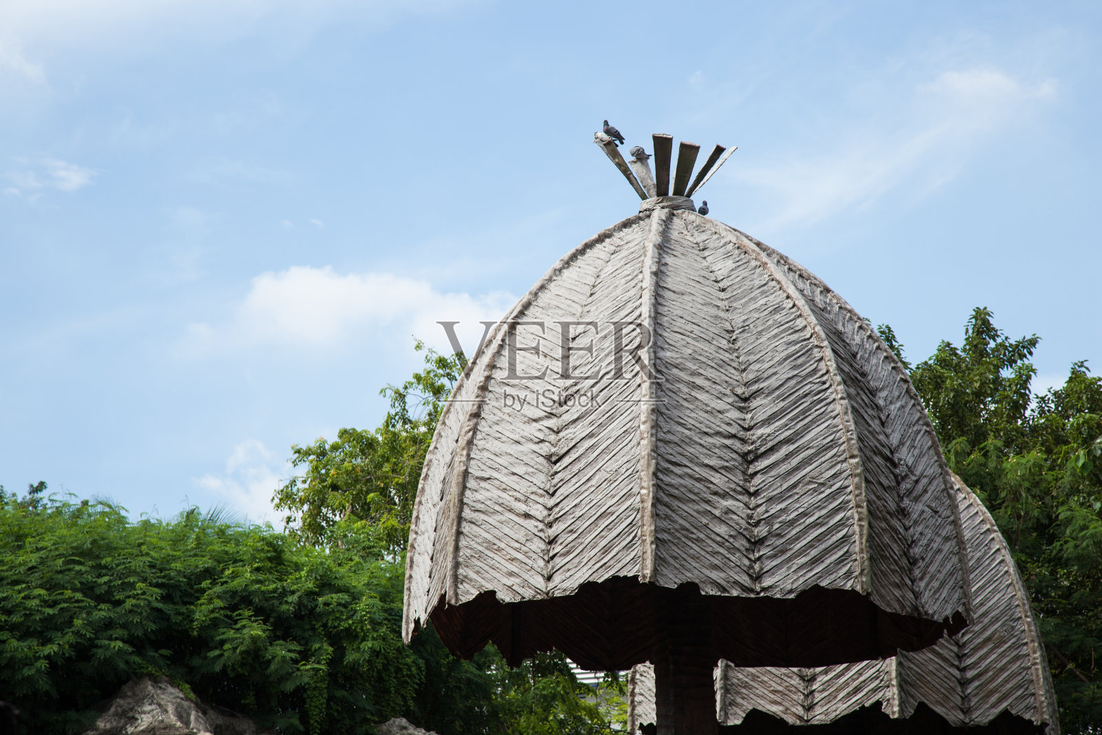 屋顶由树叶。照片摄影图片